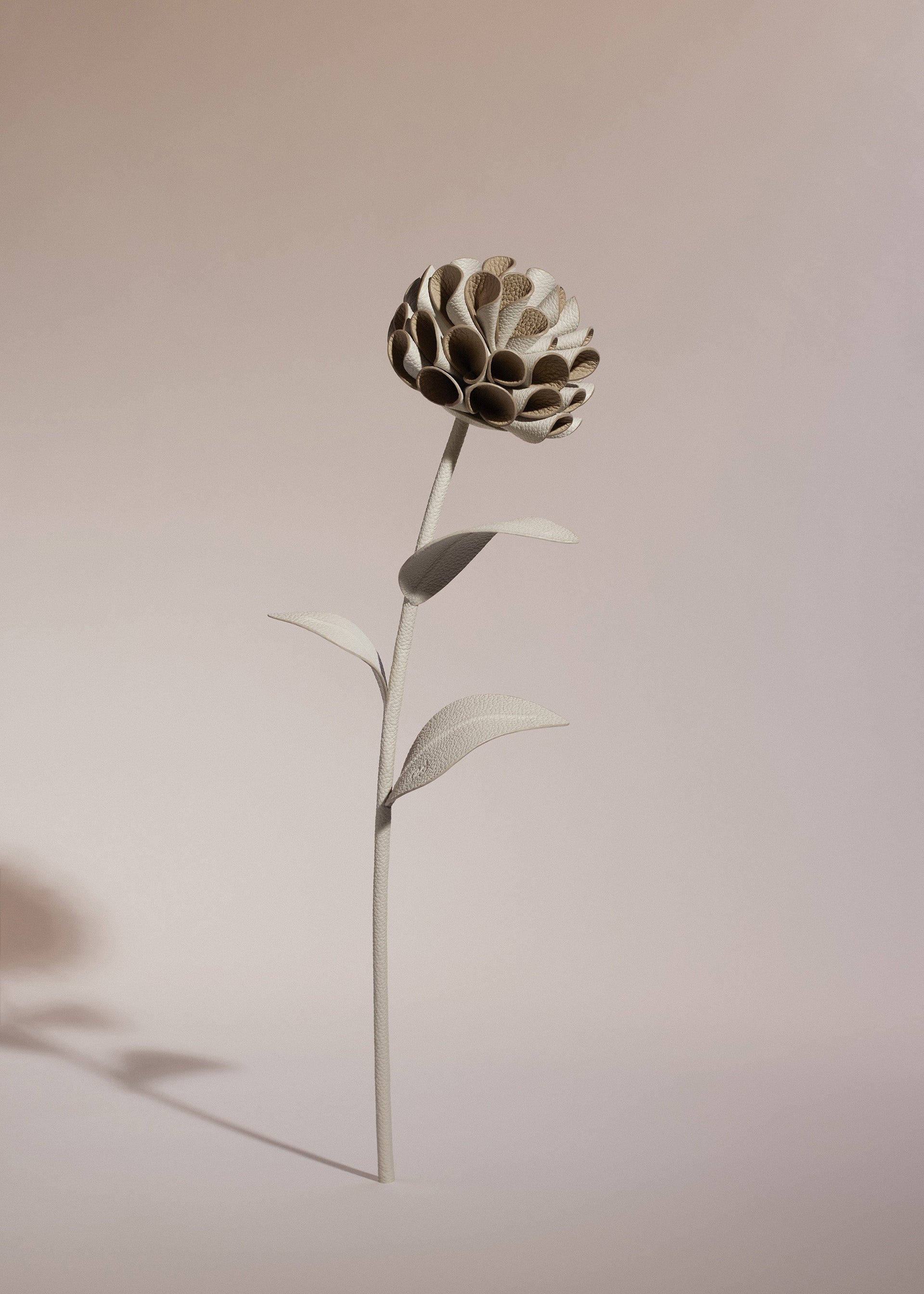 Fiore Dalium - Duo Gesso Granulata