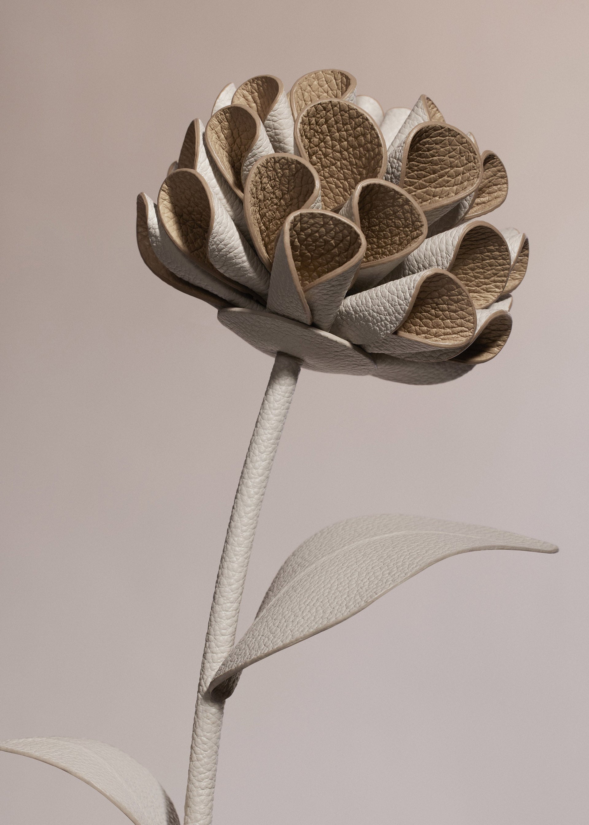 Fiore Dalium - Duo Gesso Granulata