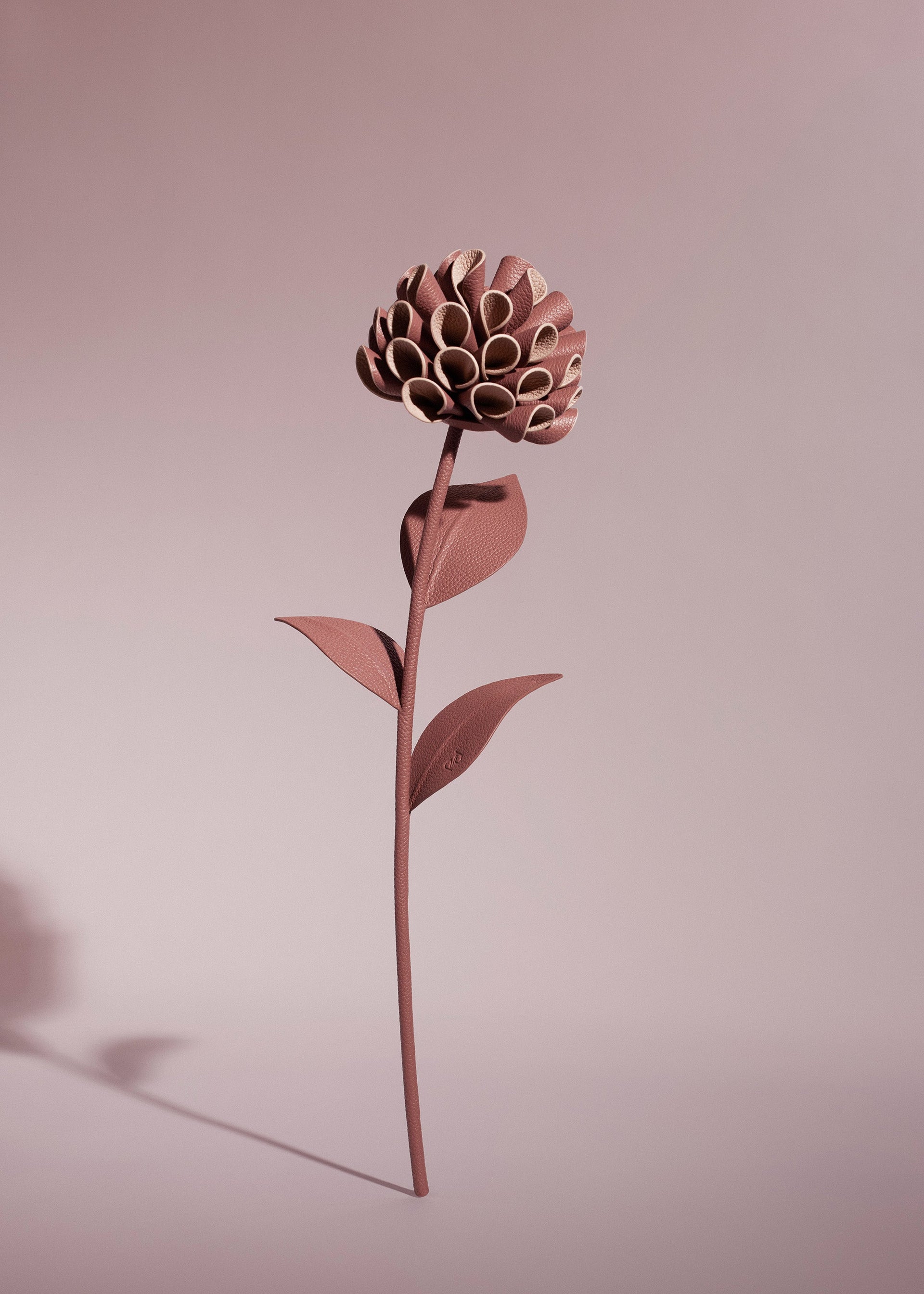 Fiore Dalium - Duo Blush