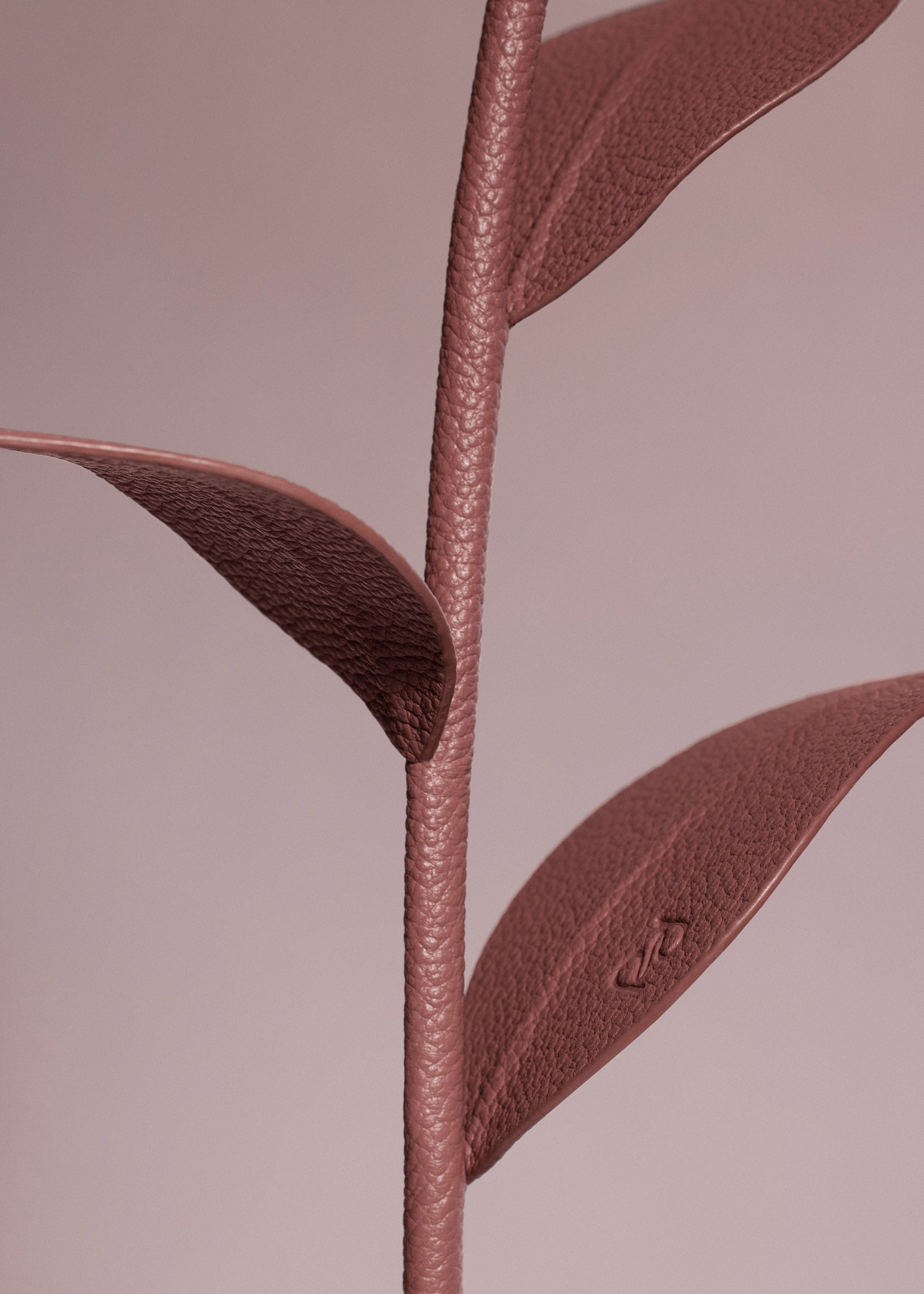 Fiore Dalium - Duo Blush