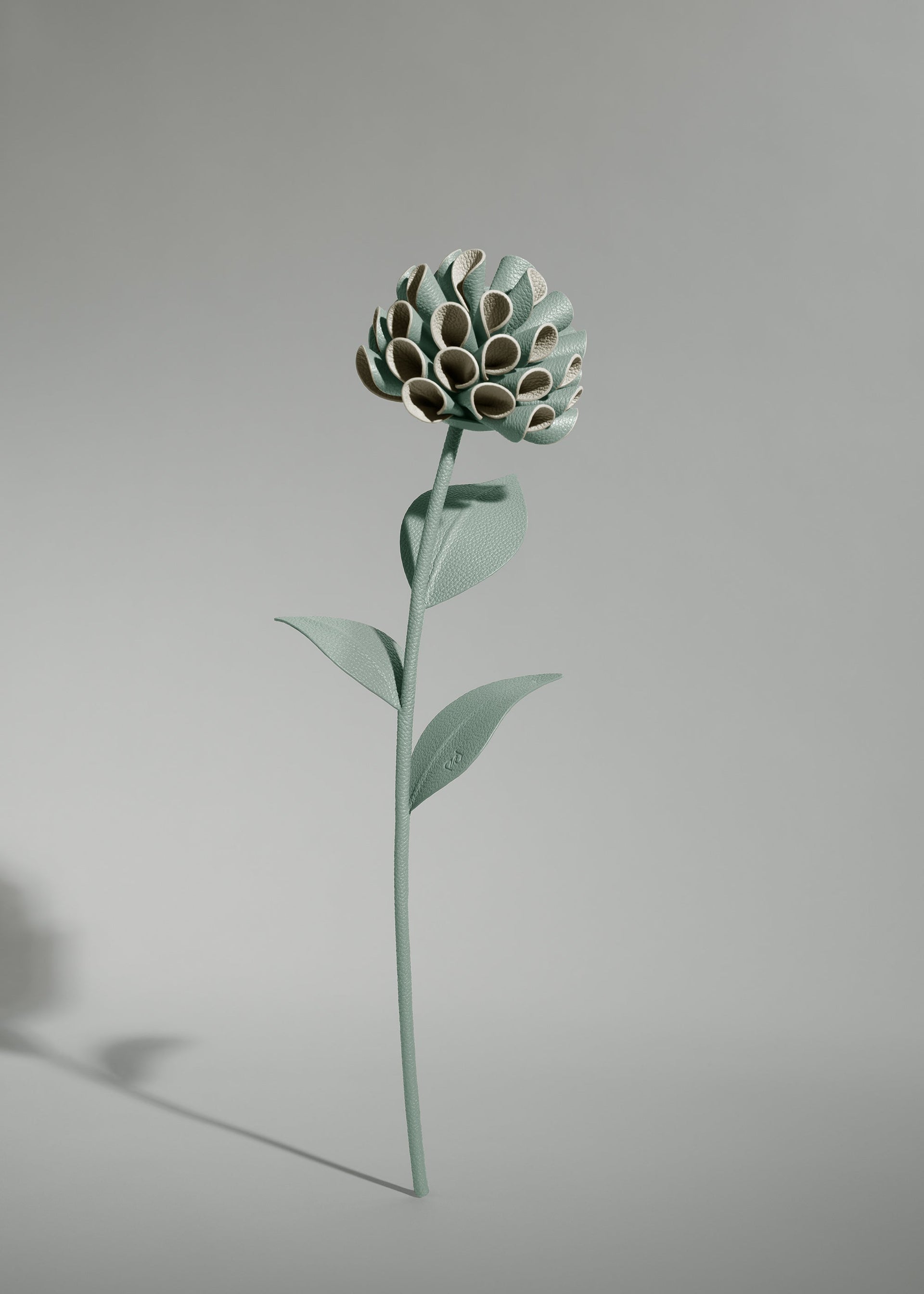 Fiore Dalium - Mandorla fresca