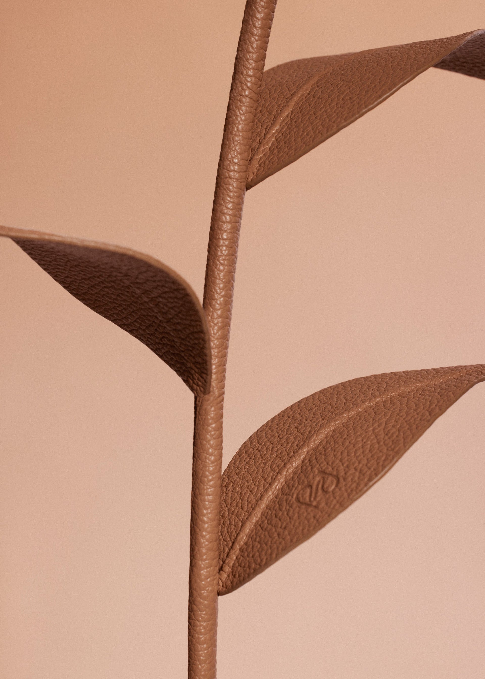 Fiore Dalium - Duo Cuoio