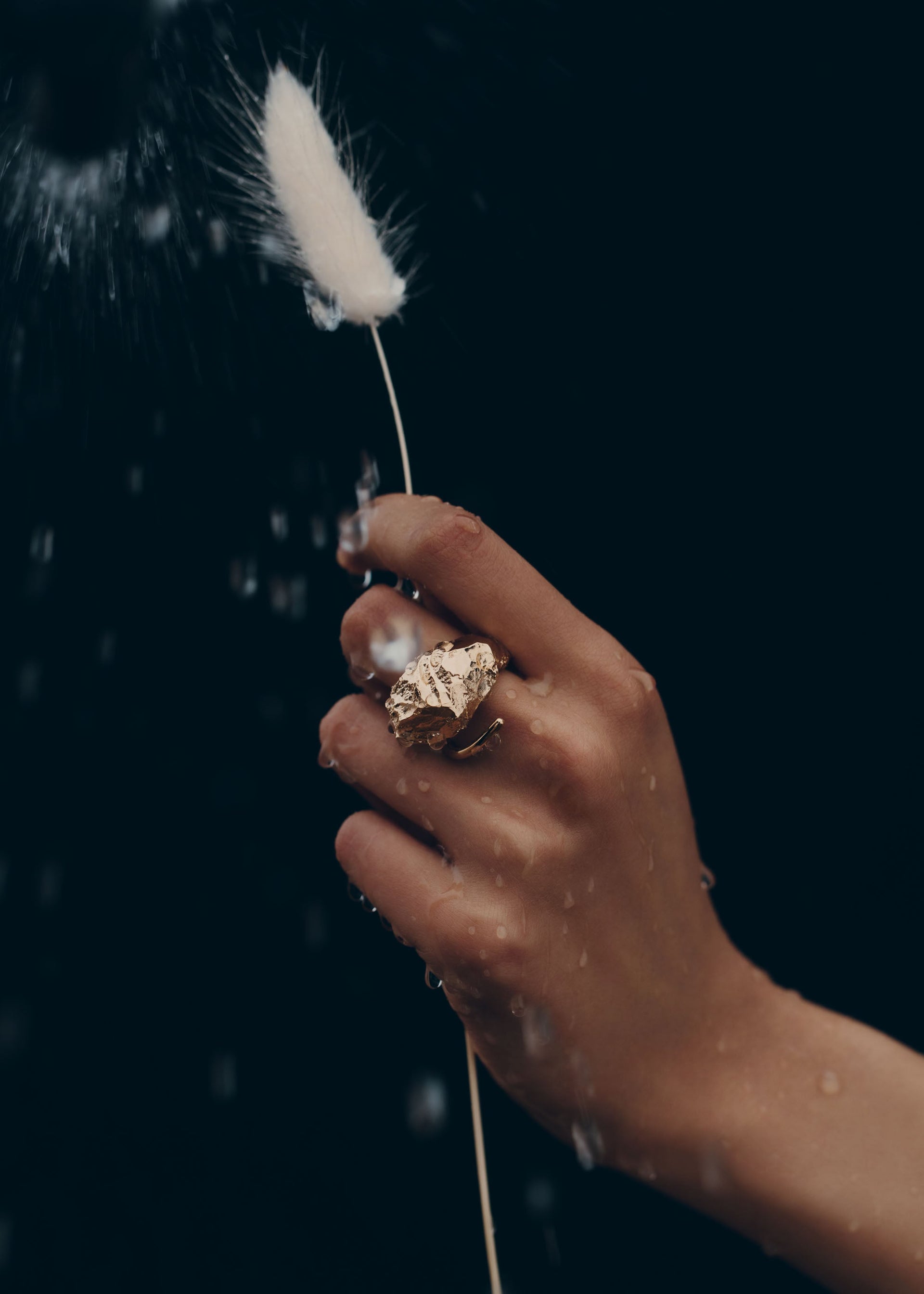 Anello Eroz - placcata oro 24 carati