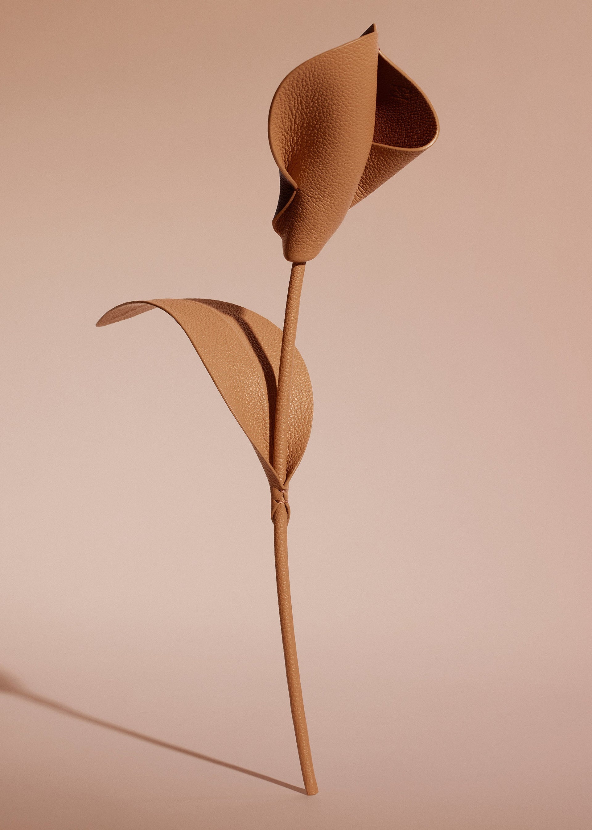 Pili Flower - Duo Cuoio