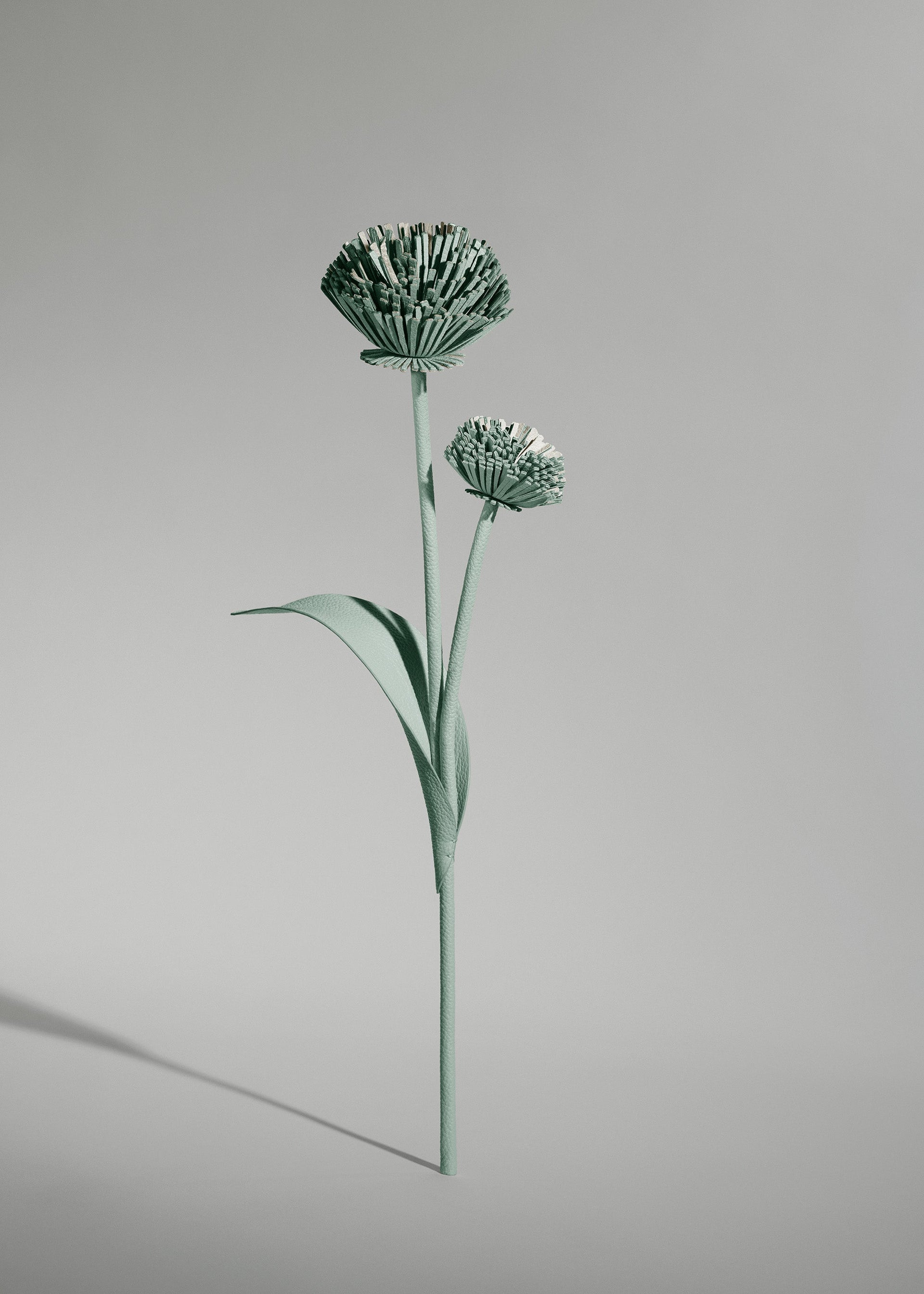 Fiore Tul - Mandorla fresca