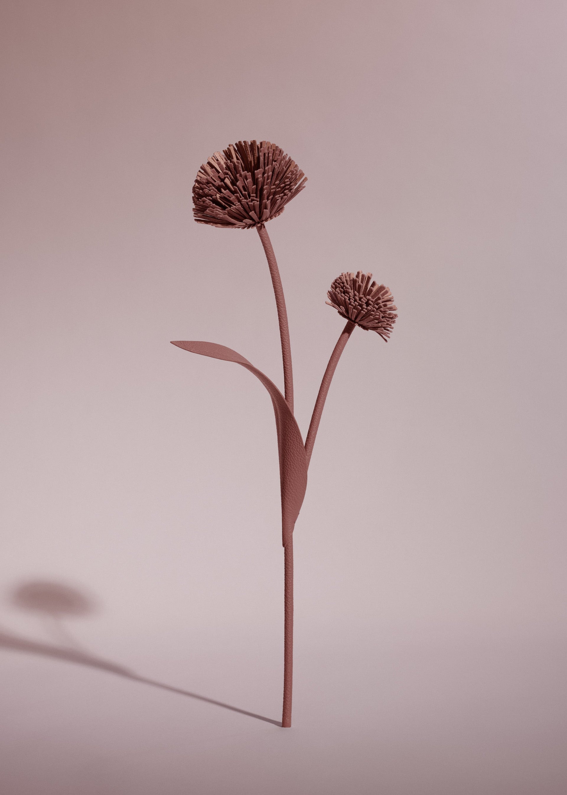 Tul Flower - Duo Blush