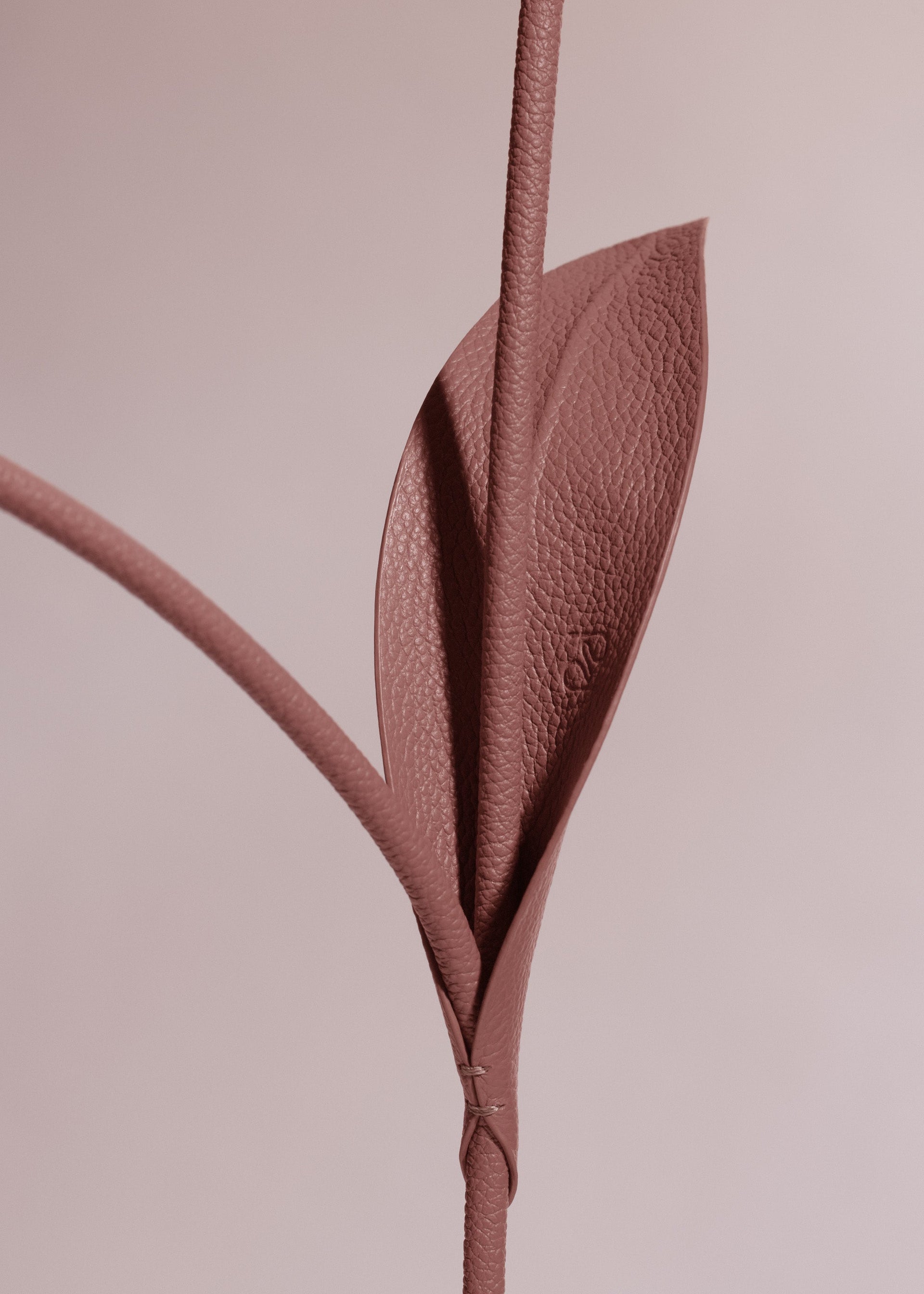 Tul Flower - Duo Blush
