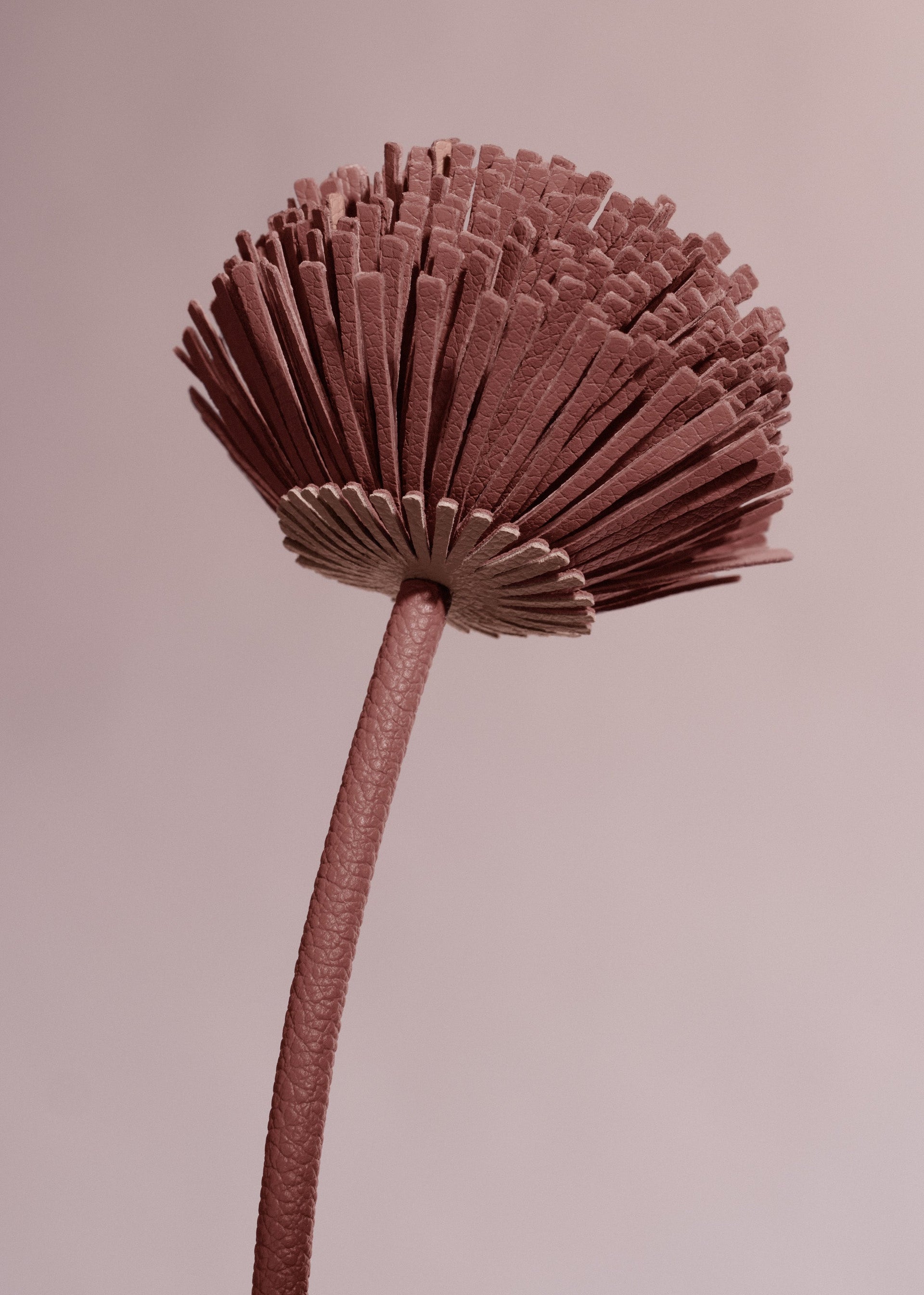 Tul Flower - Duo Blush