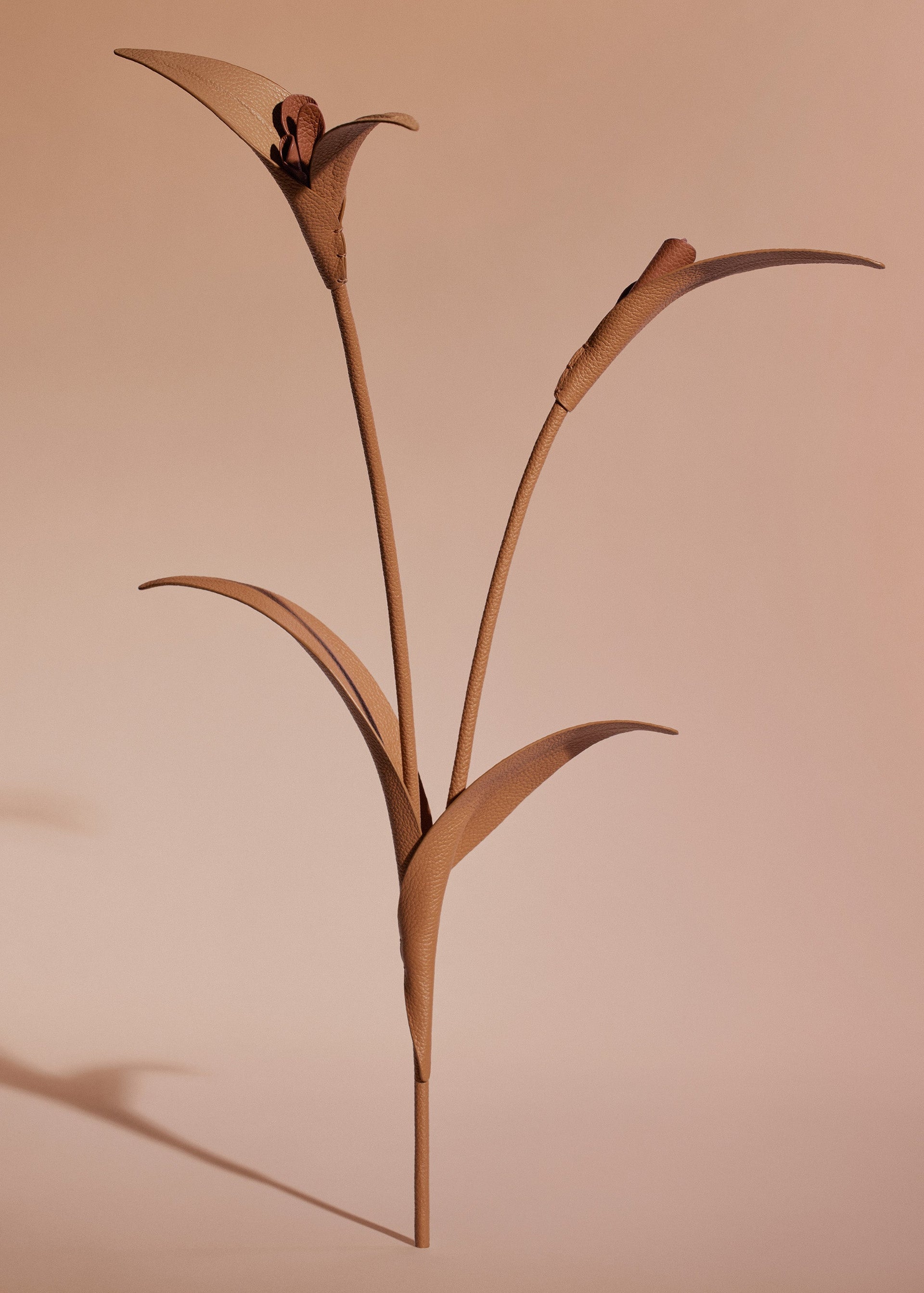 Touka Flower - Trio Cuoio