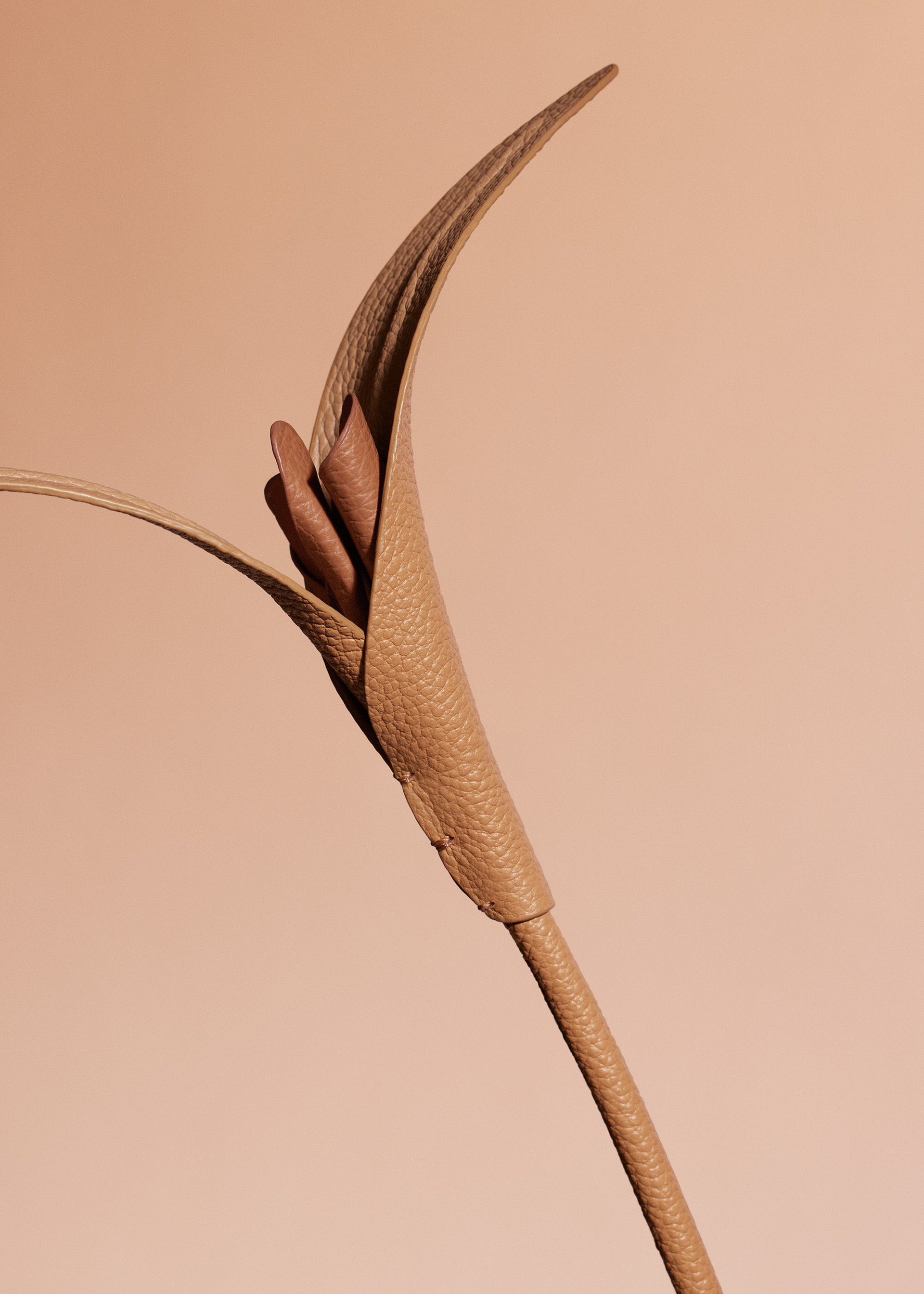 Touka Flower - Trio Cuoio