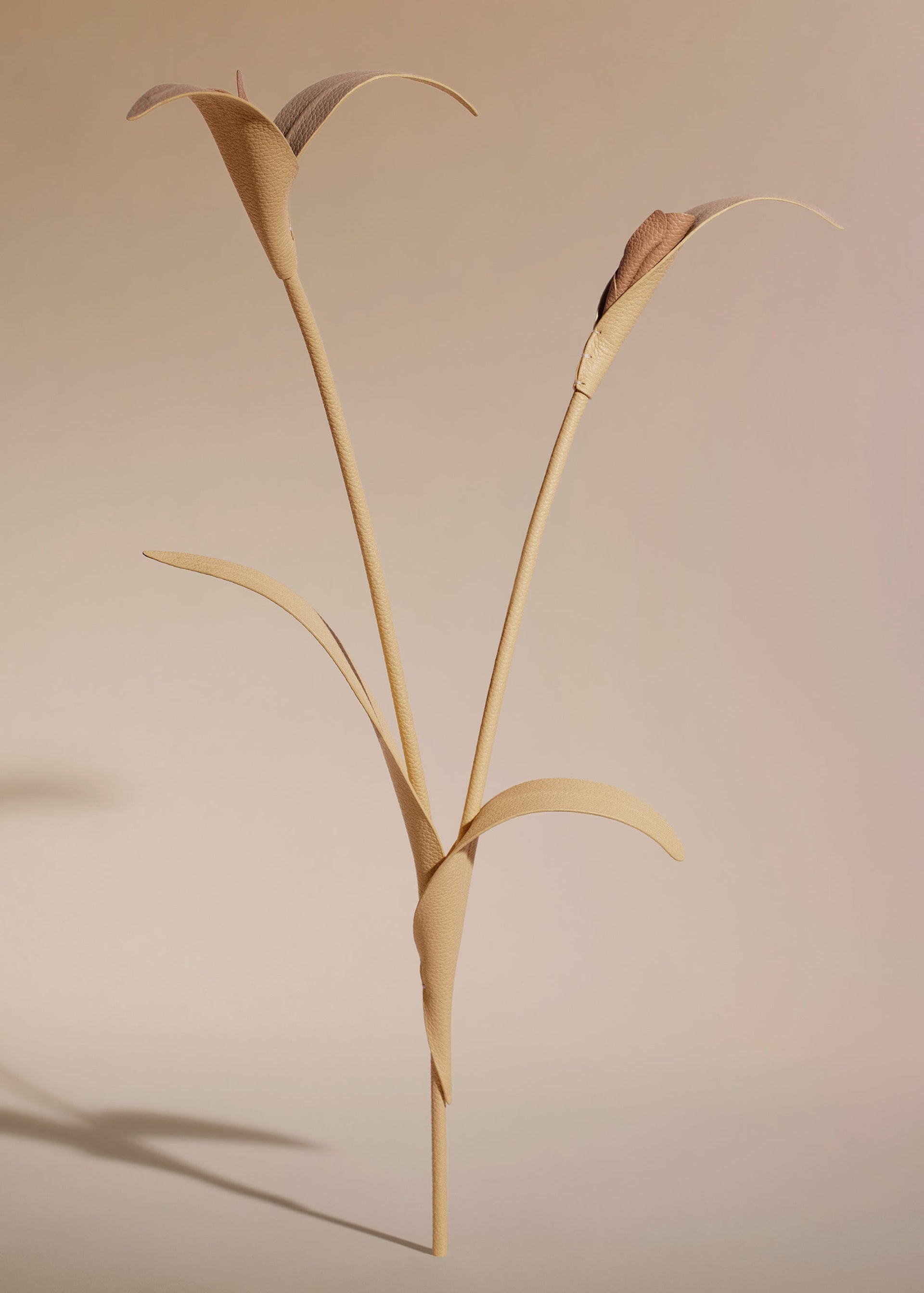 Touka Flower - Trio Grano