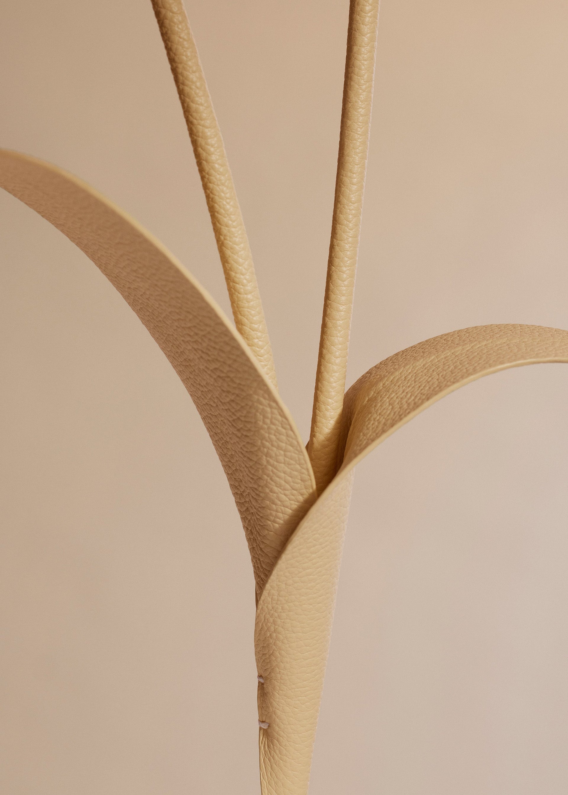 Touka Flower - Trio Grano