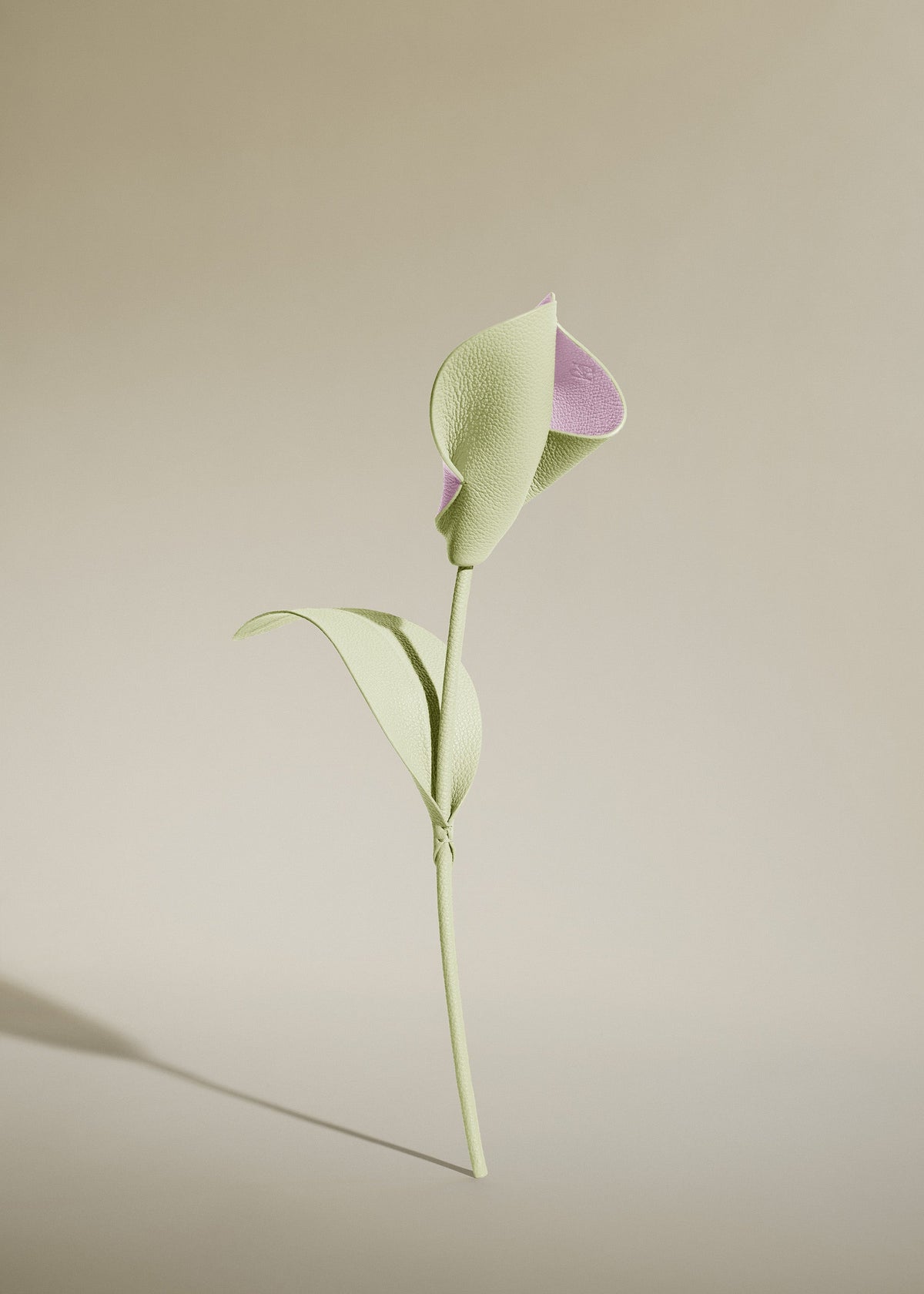 Fiore Pili - Aloe