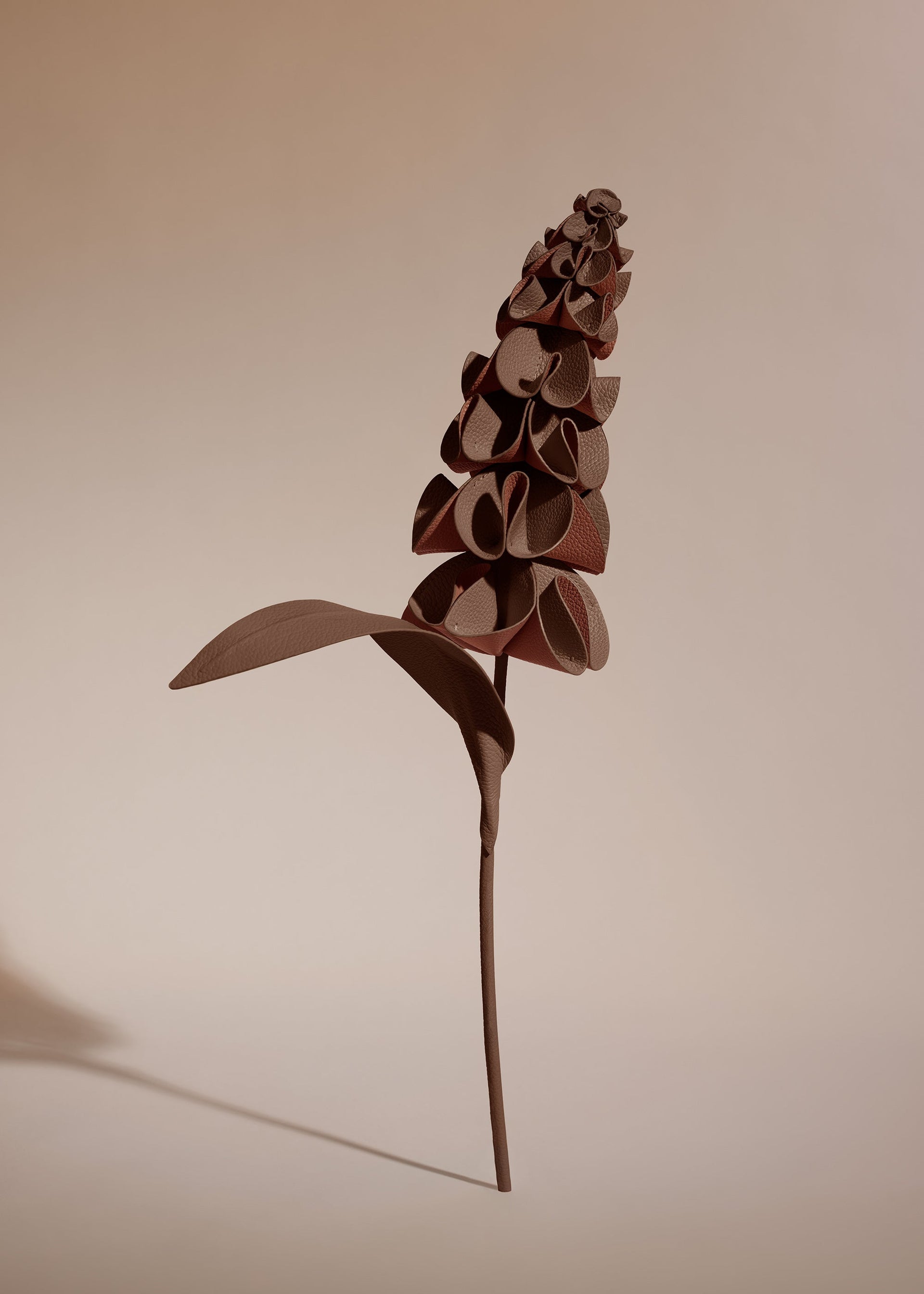 Fiore Orki - Radice