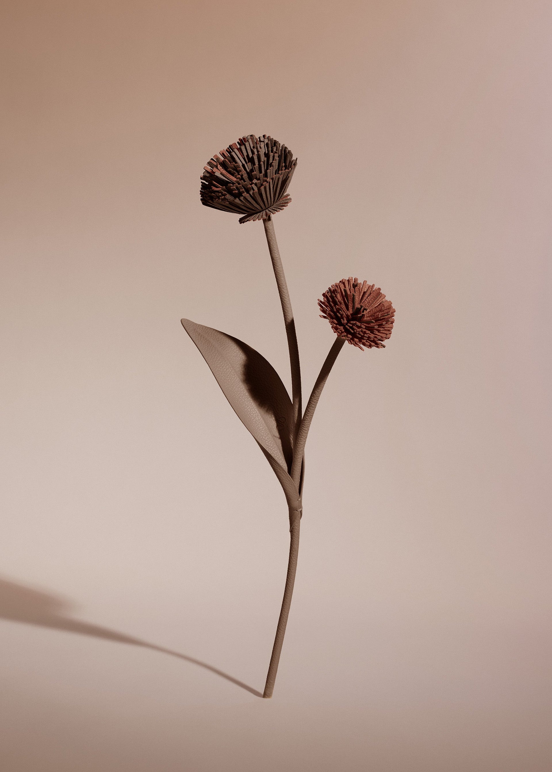 Fiore Tul - Radice