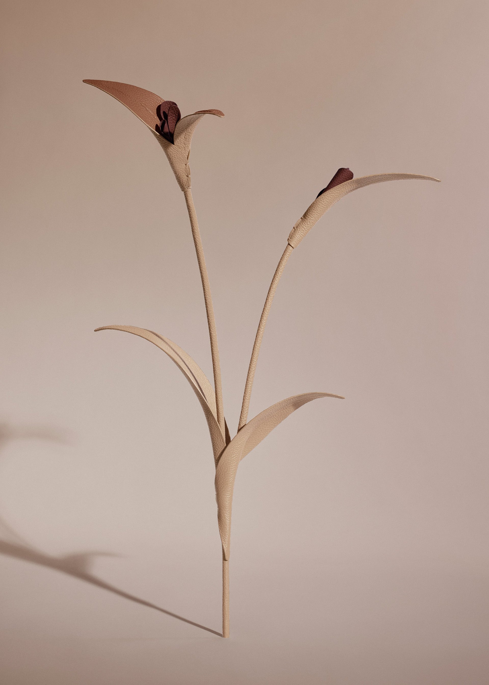 Fiore Touka - Trio Beige