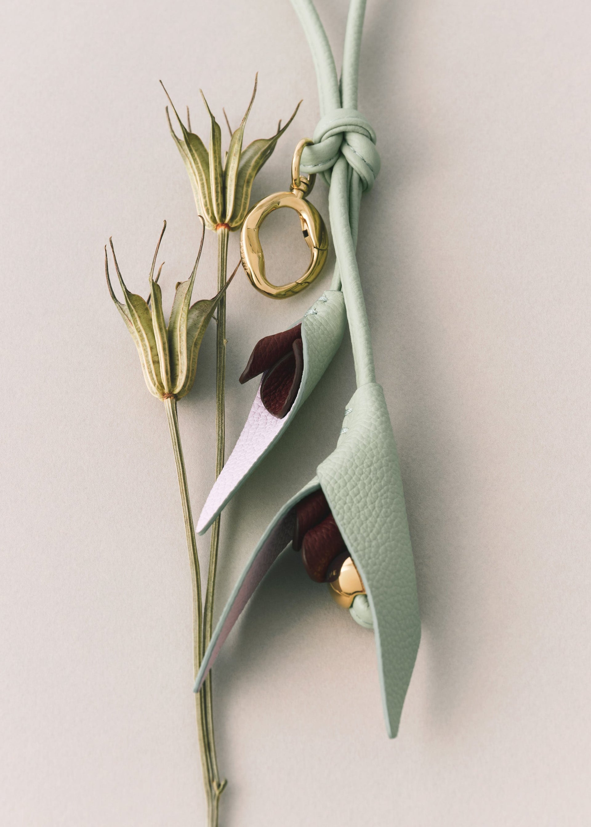 Charm Touka - Trio Amarena