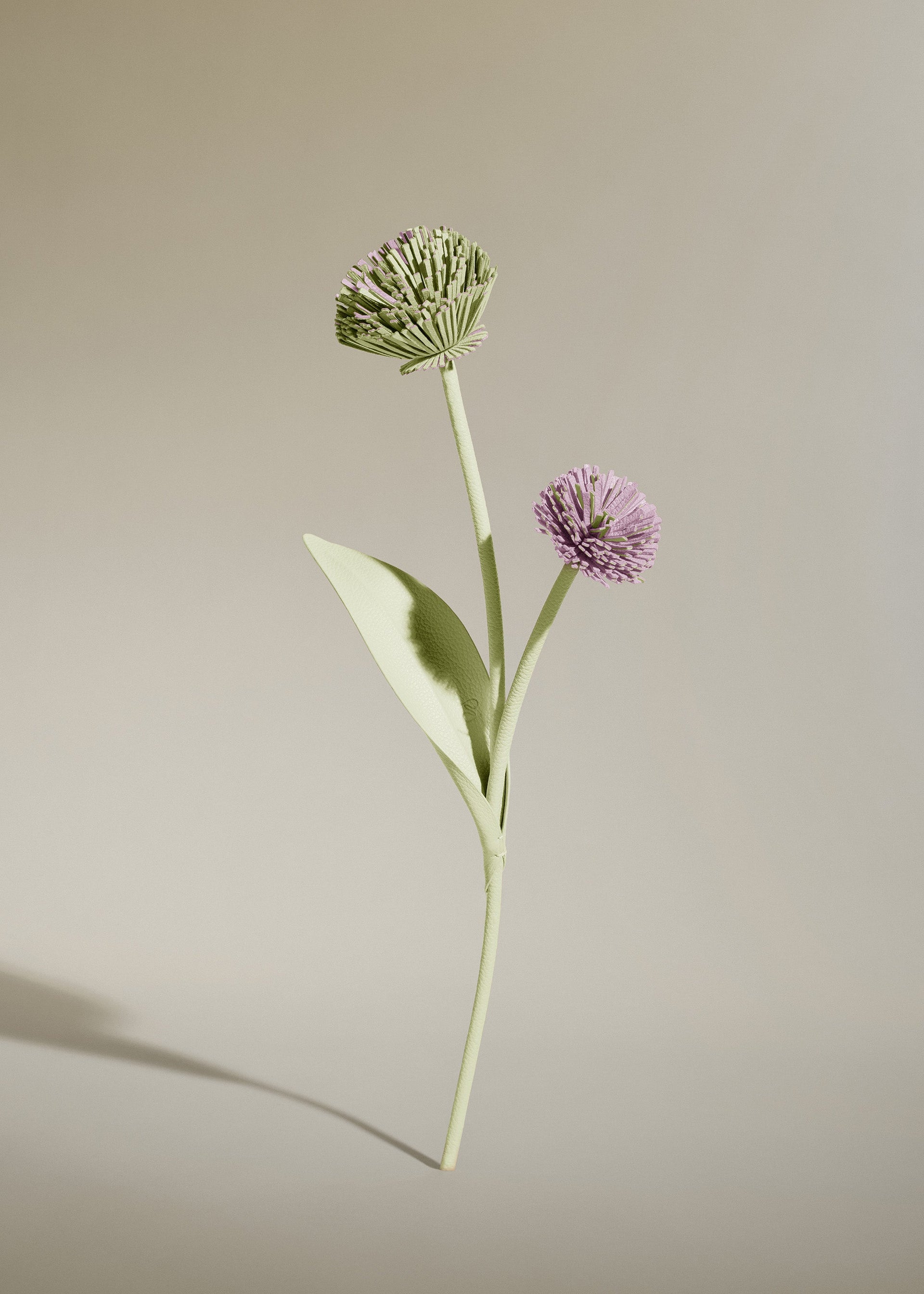 Fiore Tul - Aloe
