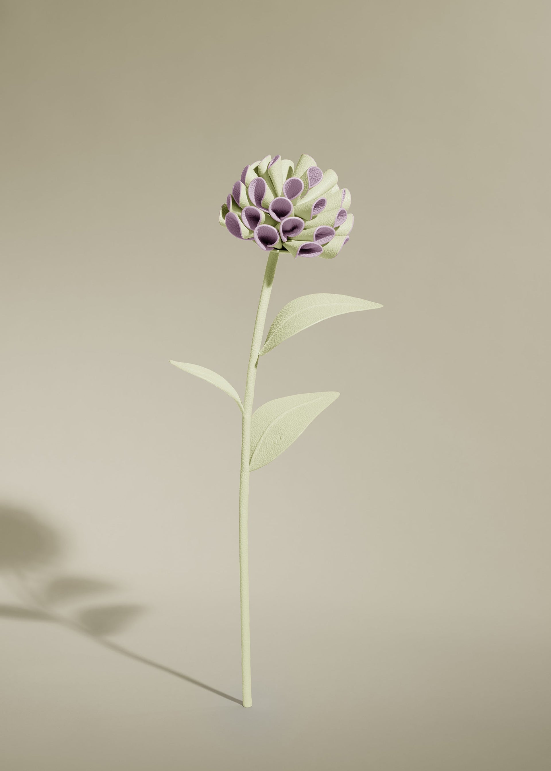 Fiore Dalium - Aloe