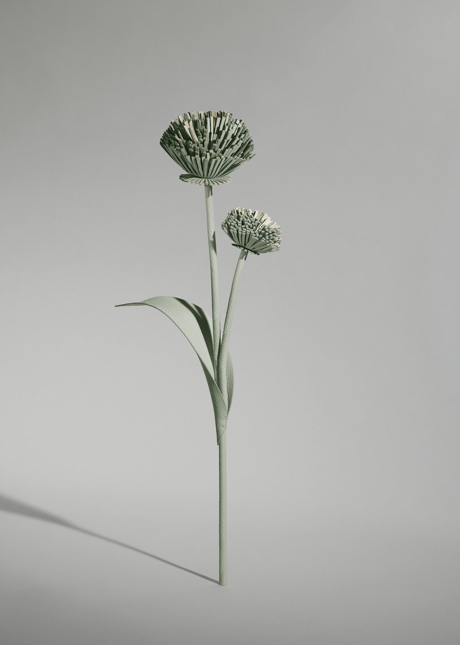 Fiore Tul - Duo Mandorla fresca