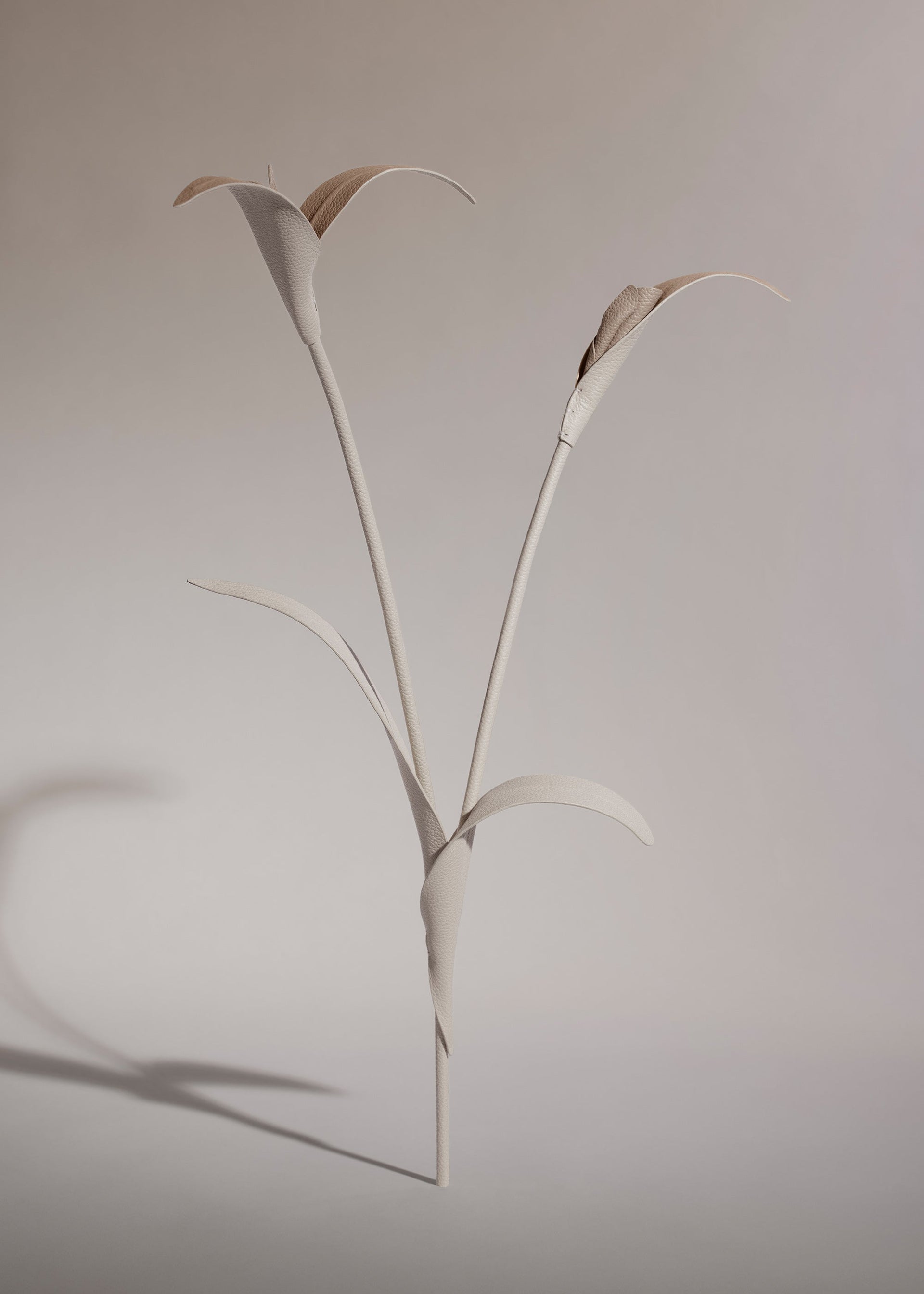 Fiore Touka - Trio Gesso