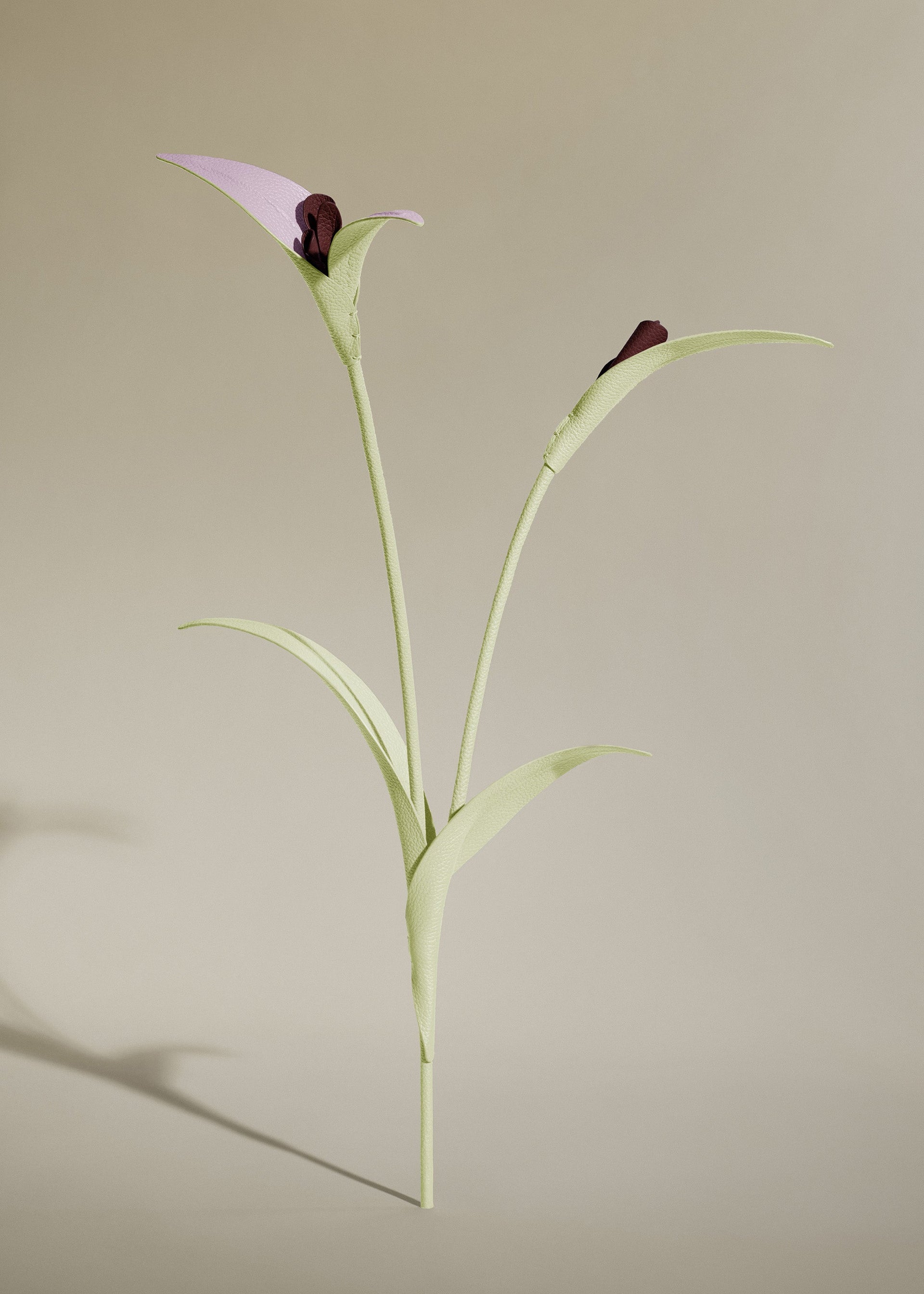 Fiore Touka - Aloe