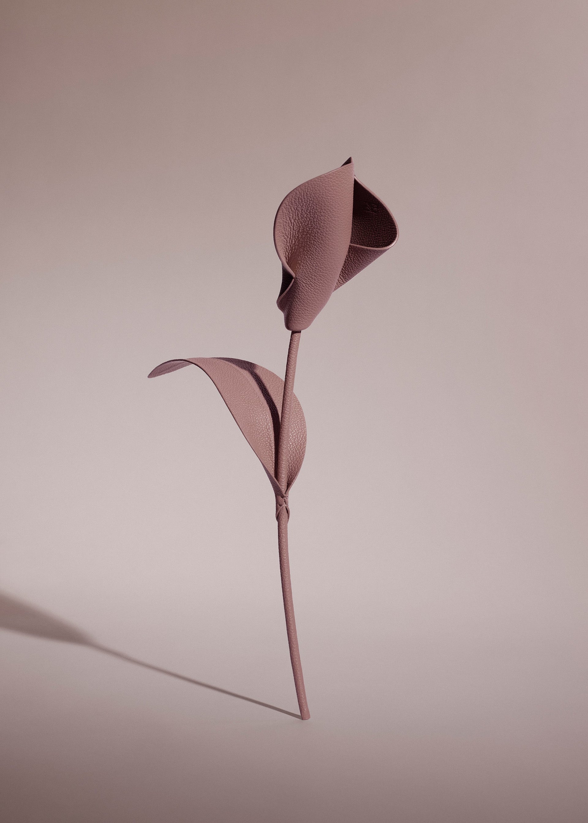 Fiore Pili - Duo Lilla