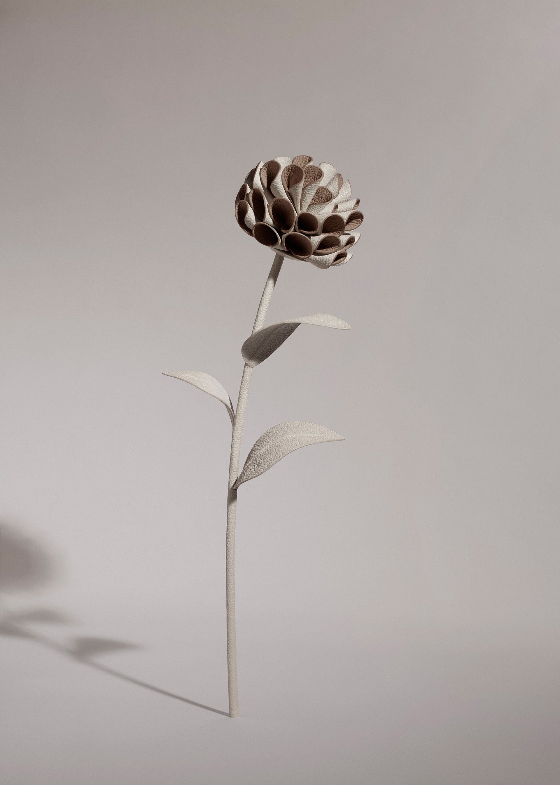Dalium Flower - Duo Gesso