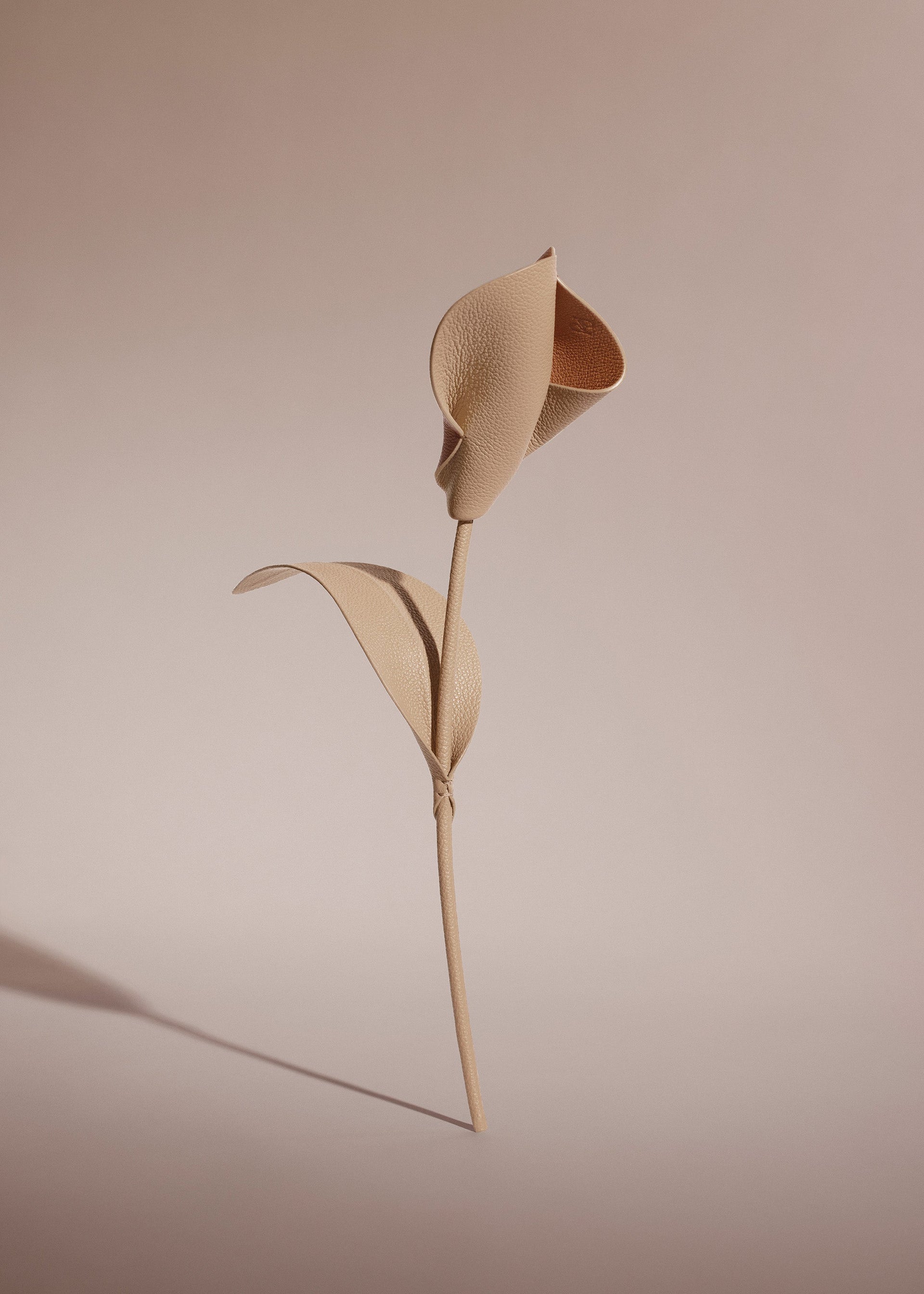 Fiore Pili - Duo Beige