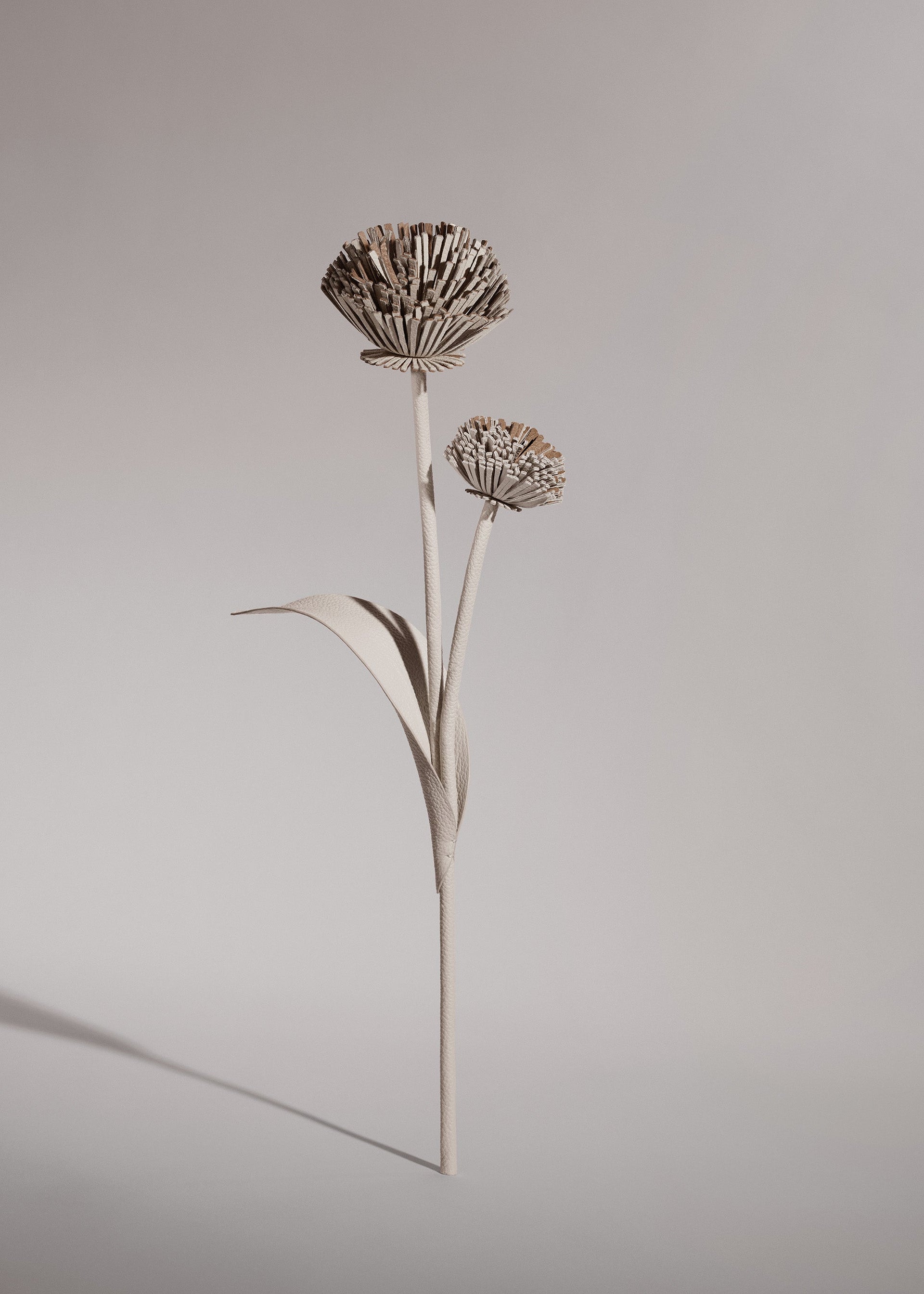 Fiore Tul - Duo Gesso