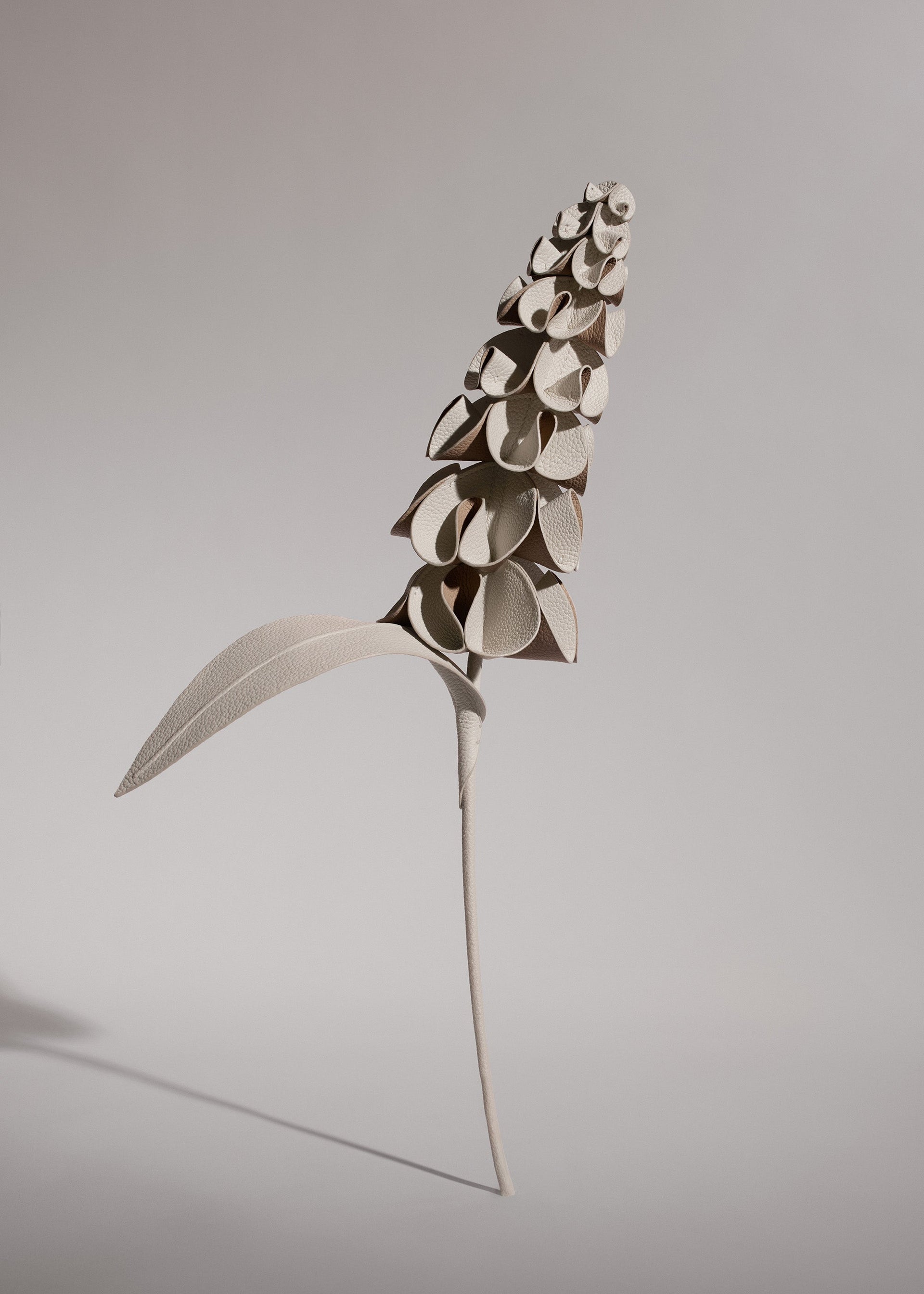 Fiore Orki - Duo Gesso