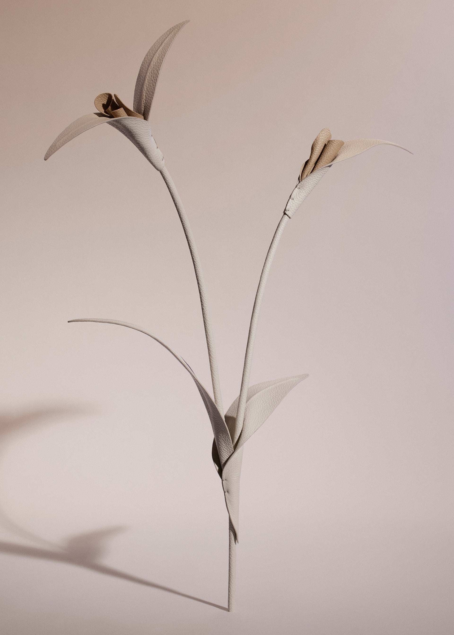 Touka Flower - Trio Gesso