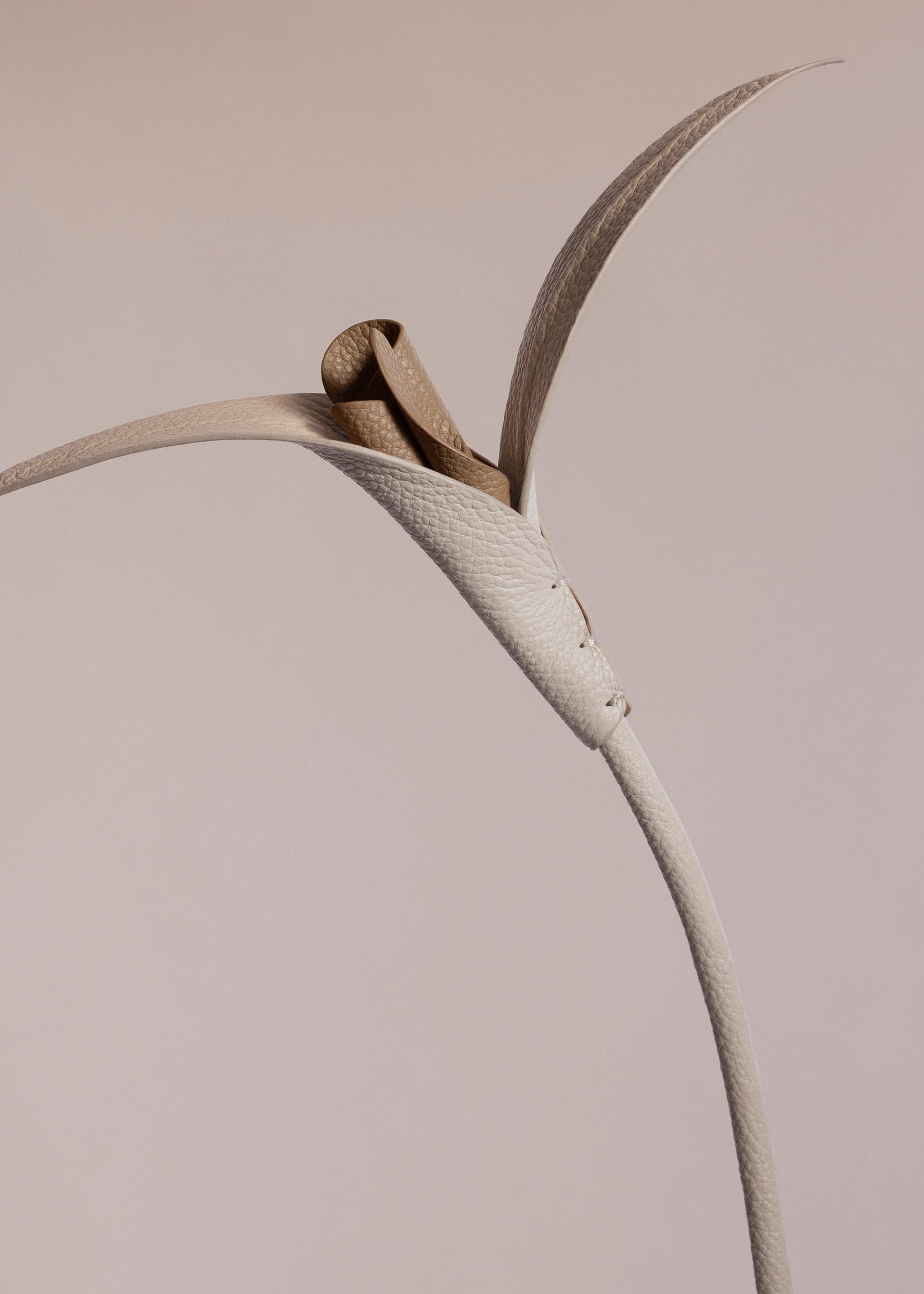 Touka Flower - Trio Gesso