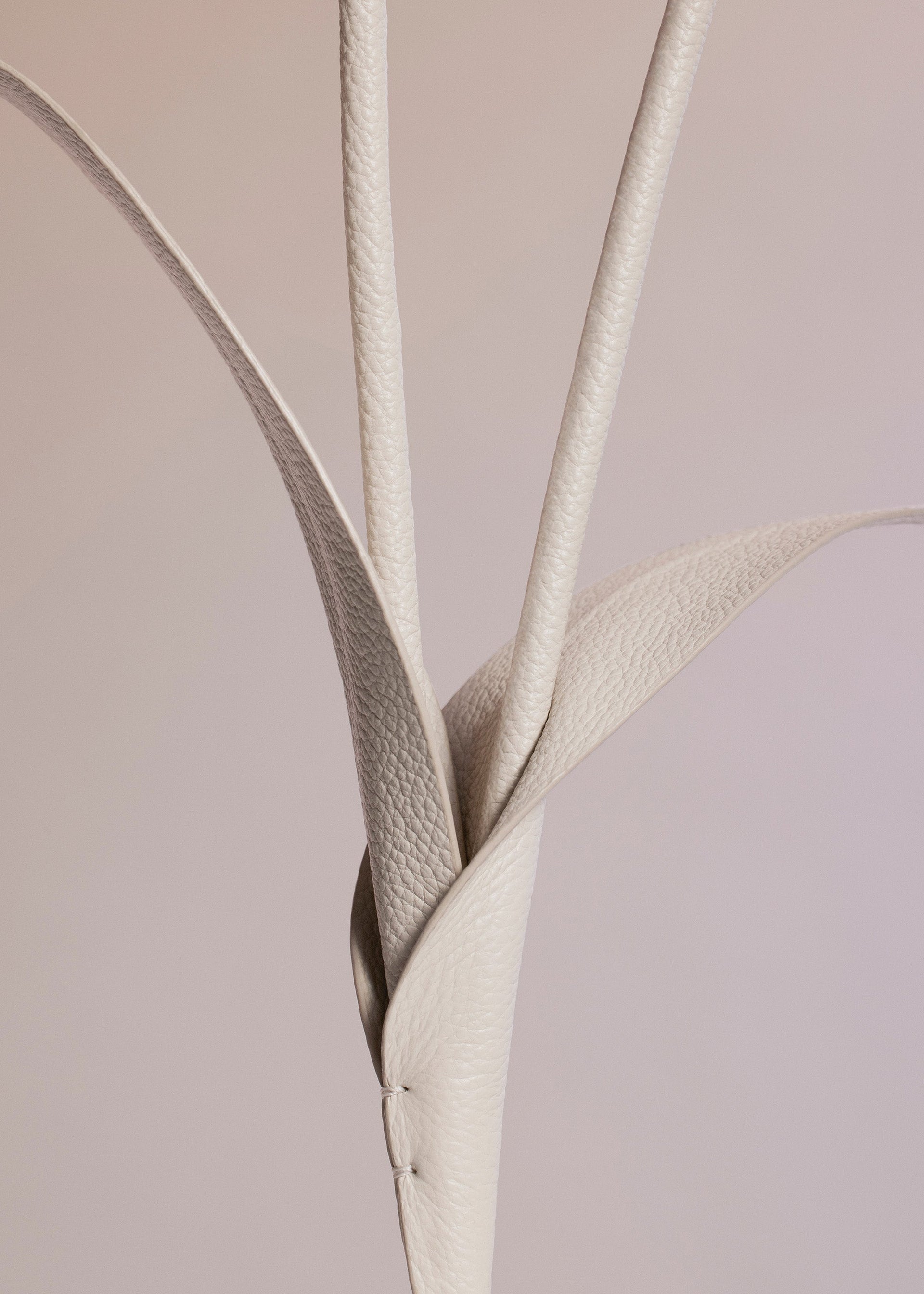 Touka Flower - Trio Gesso