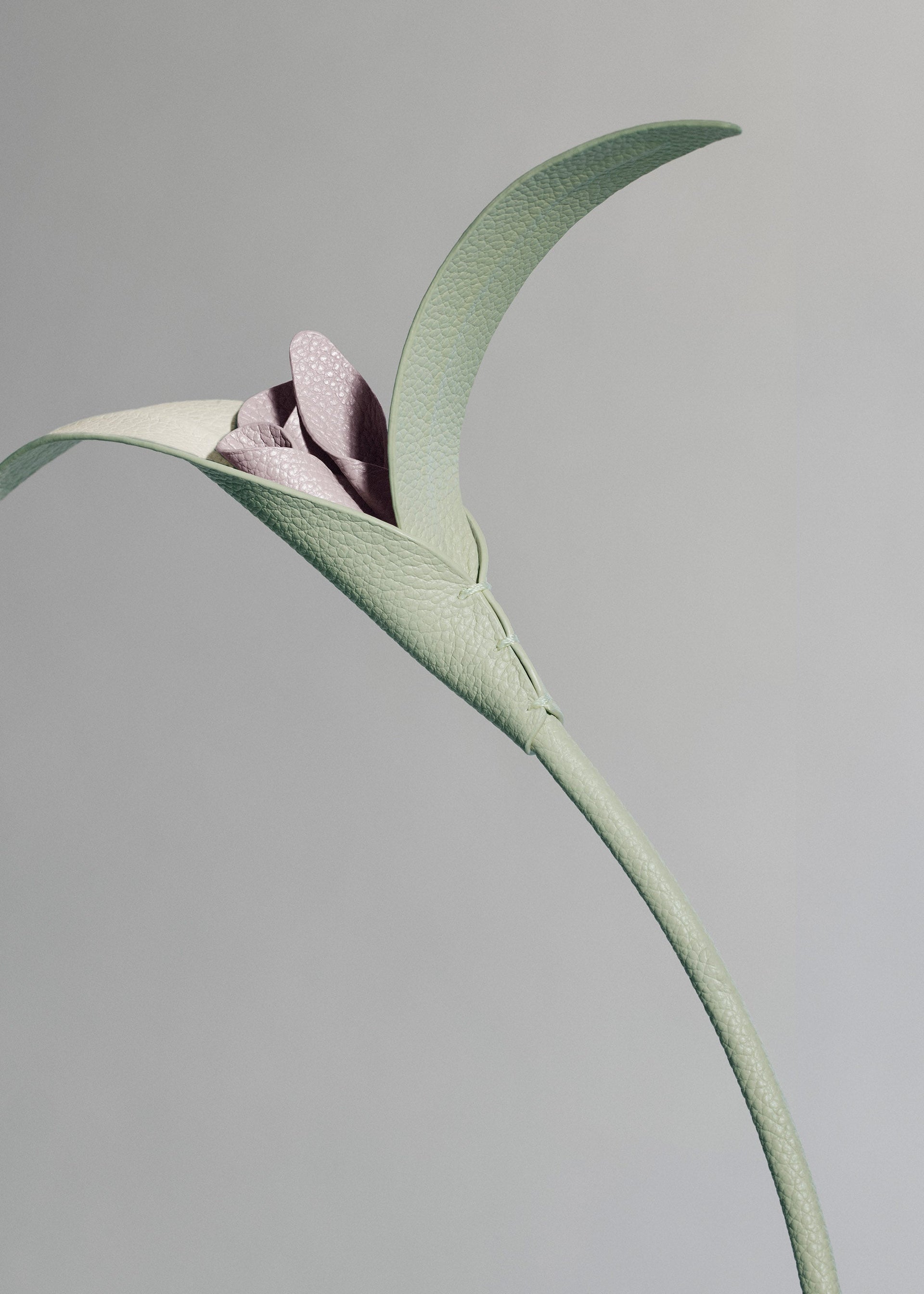 Fiore Touka - Mandorla fresca