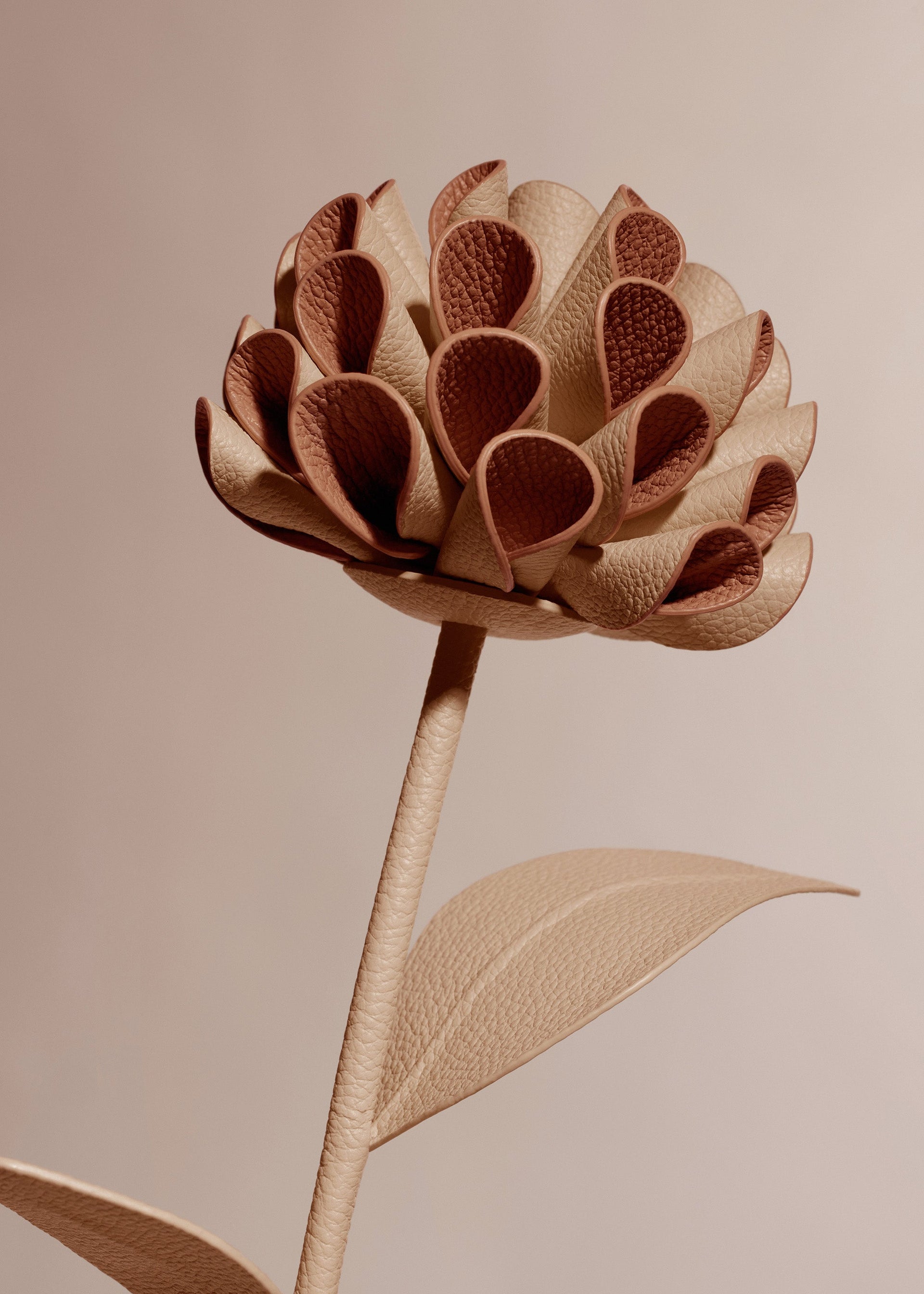 Fiore Dalium - Duo Beige