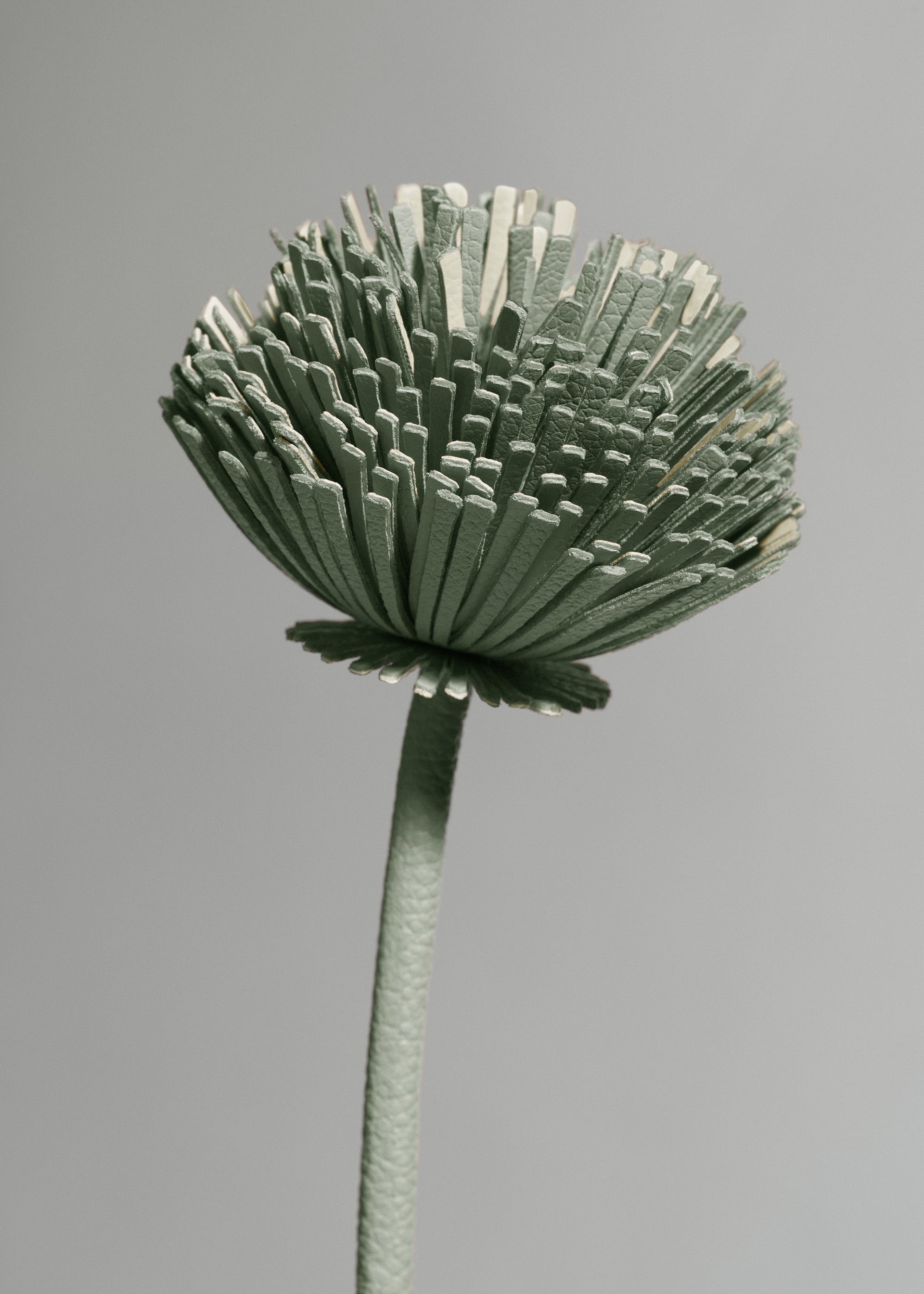 Fiore Tul - Duo Mandorla fresca