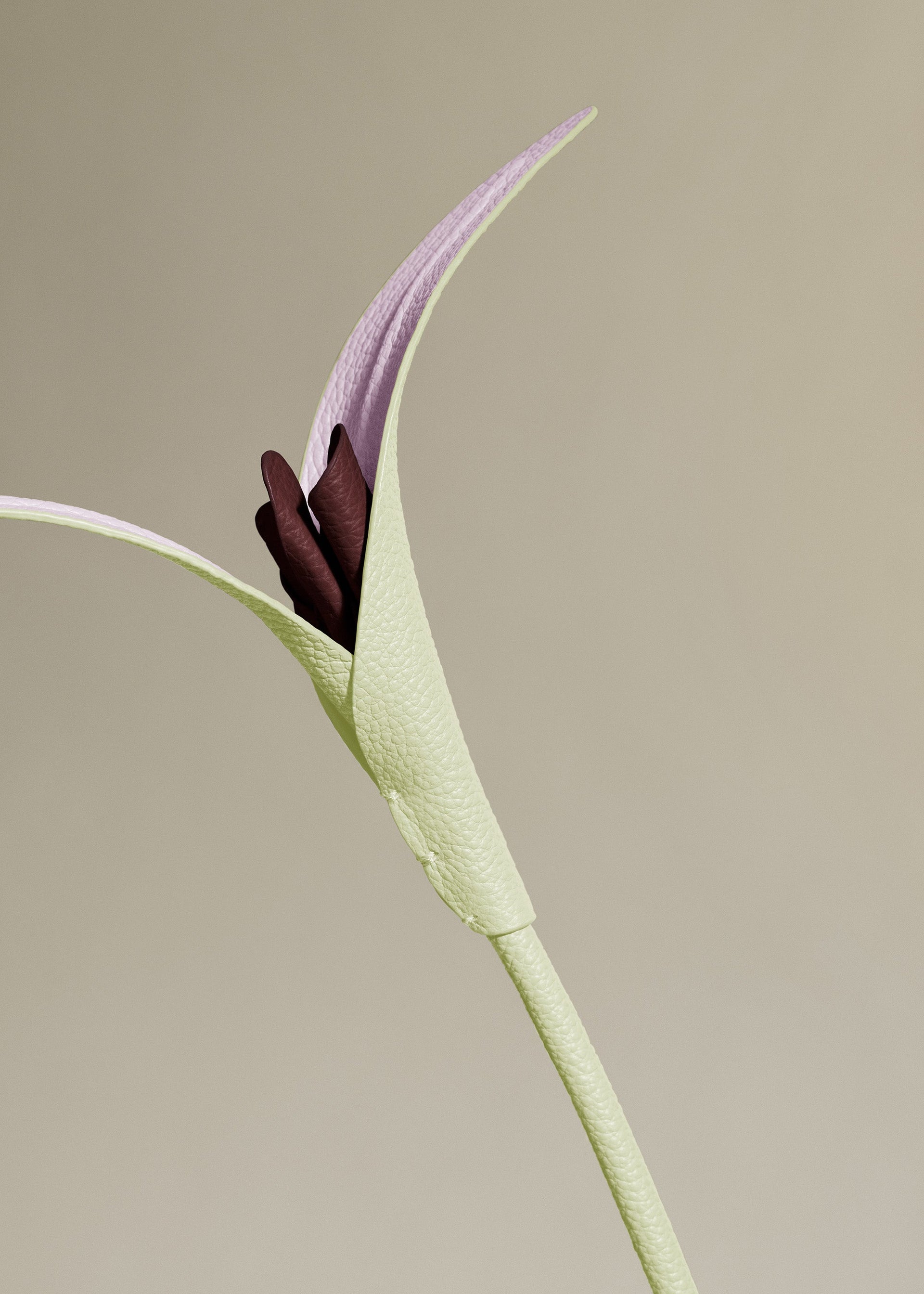 Fiore Touka - Aloe