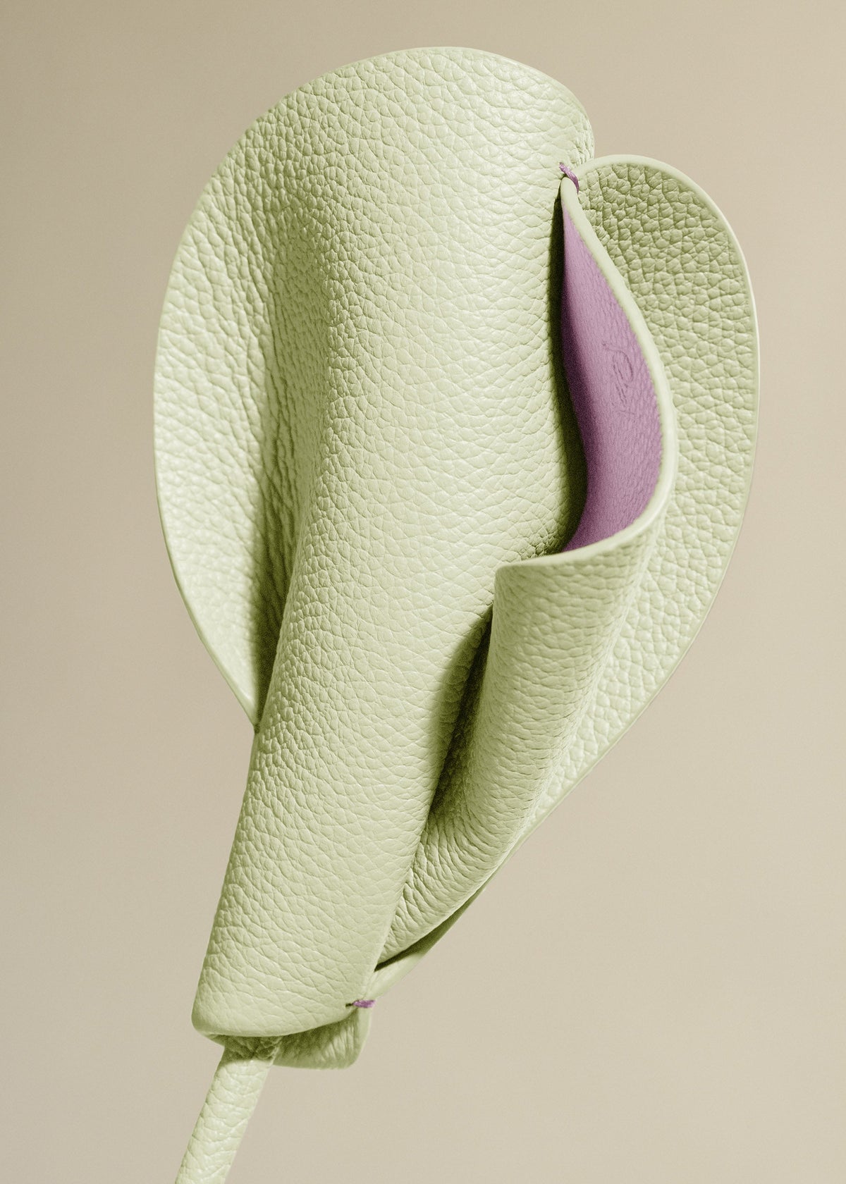 Fiore Pili - Aloe