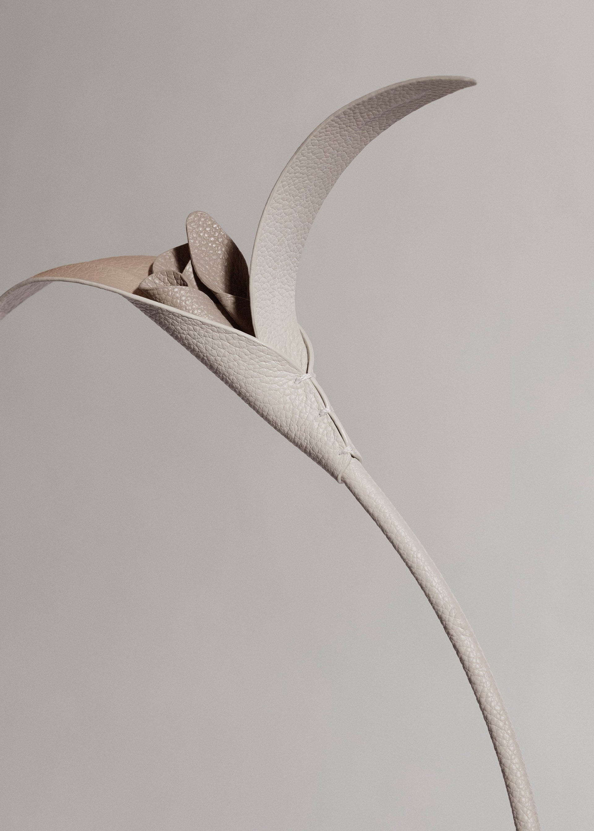 Fiore Touka - Trio Gesso