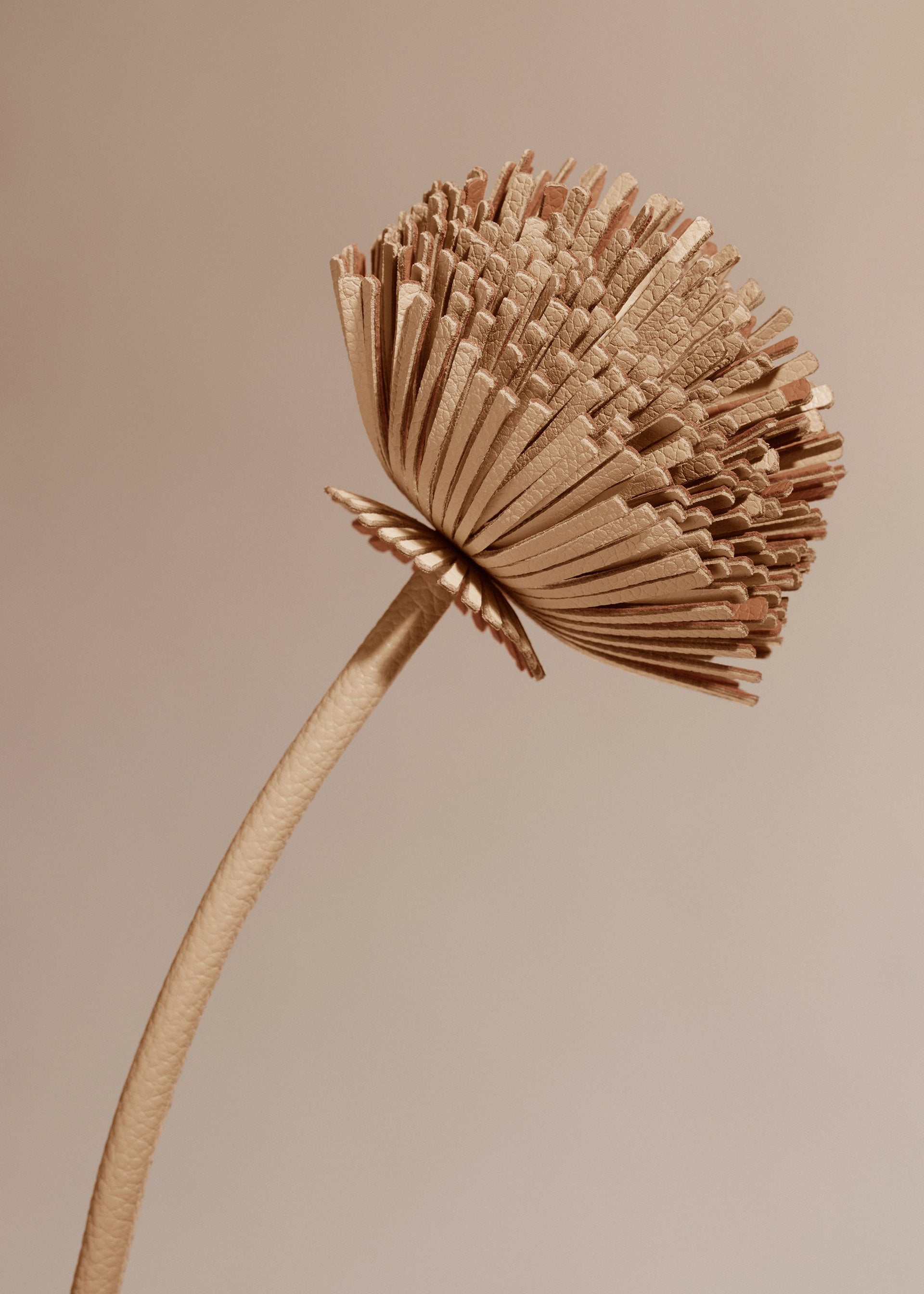 Charm Orki - Trio Beige