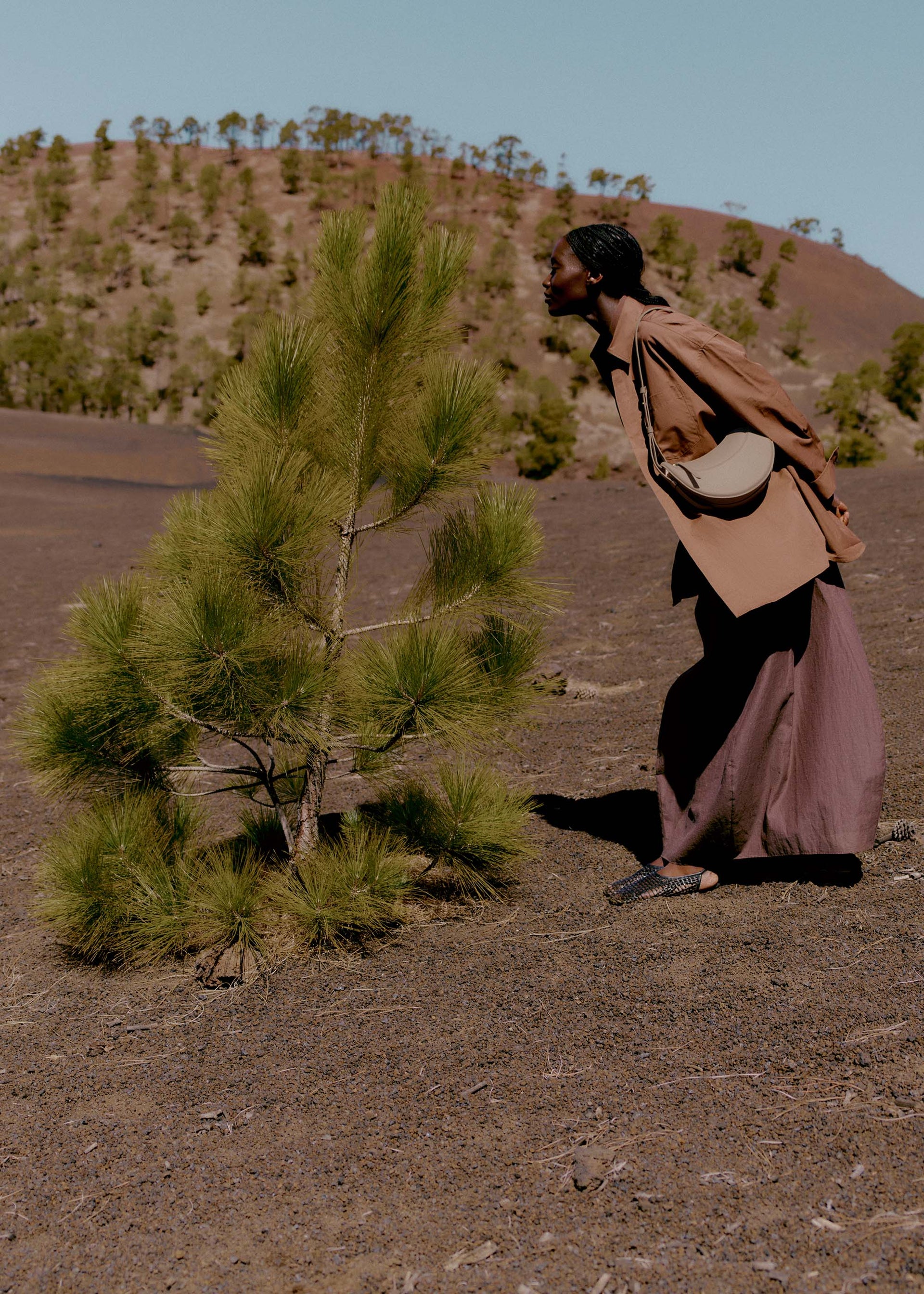 Numéro Dix - Talpa Granulata