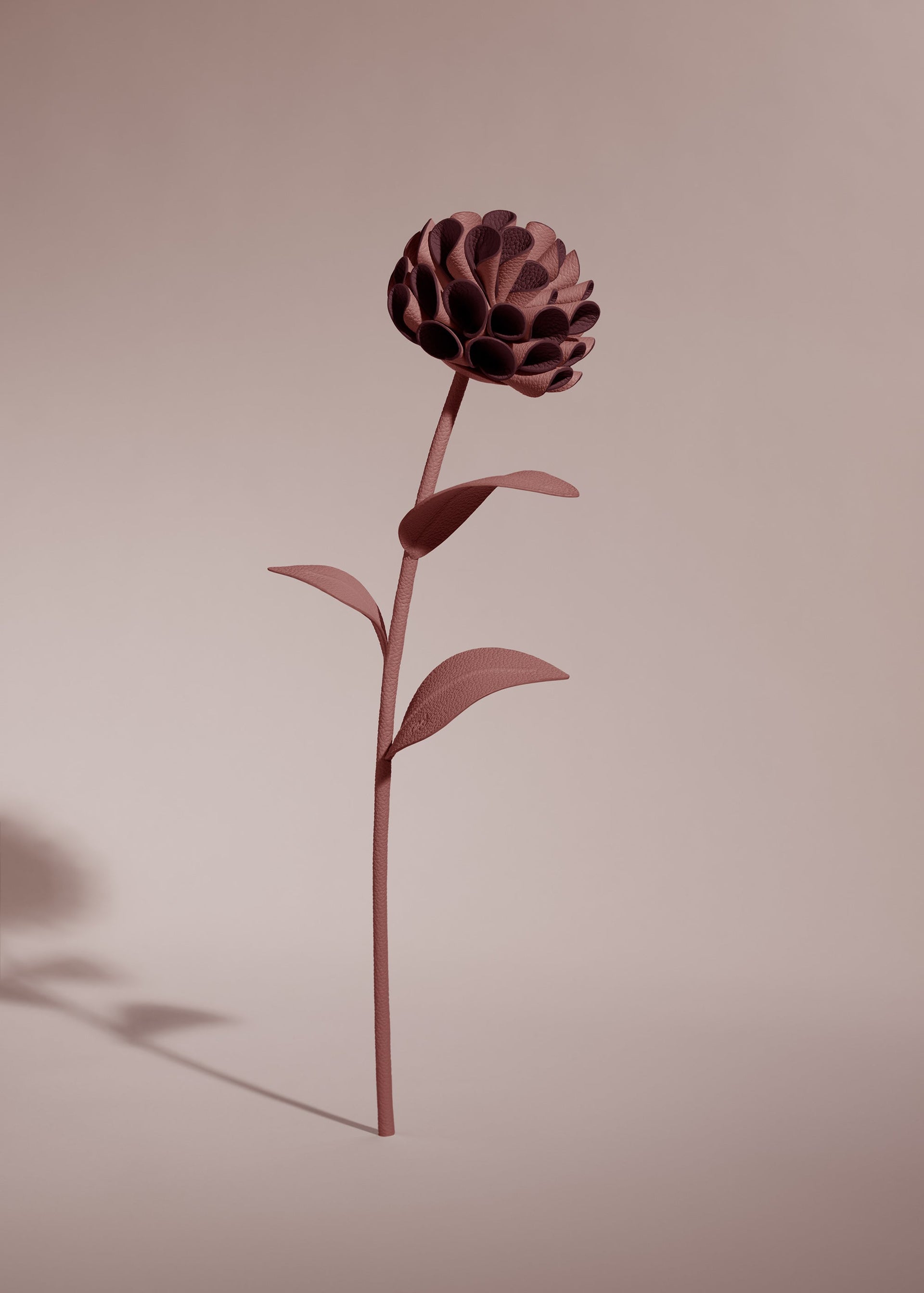 Fiore Dalium - Lilla