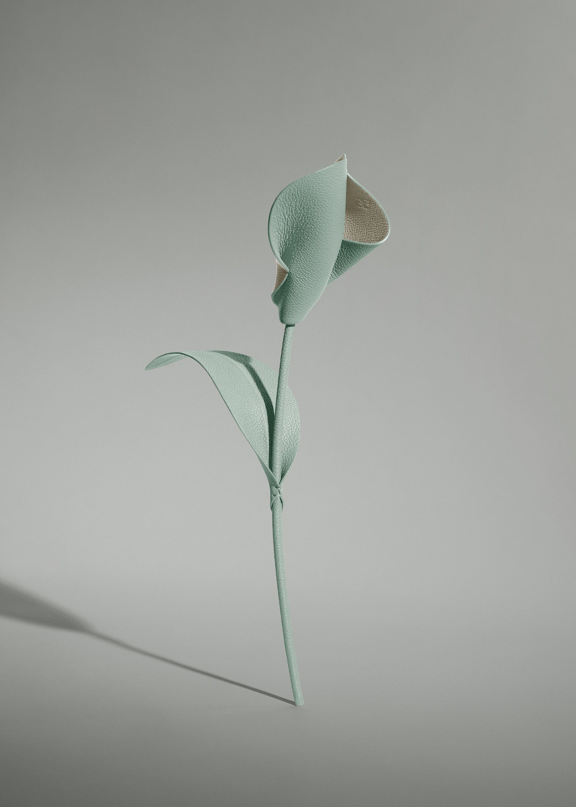 Fiore Pili - Mandorla fresca