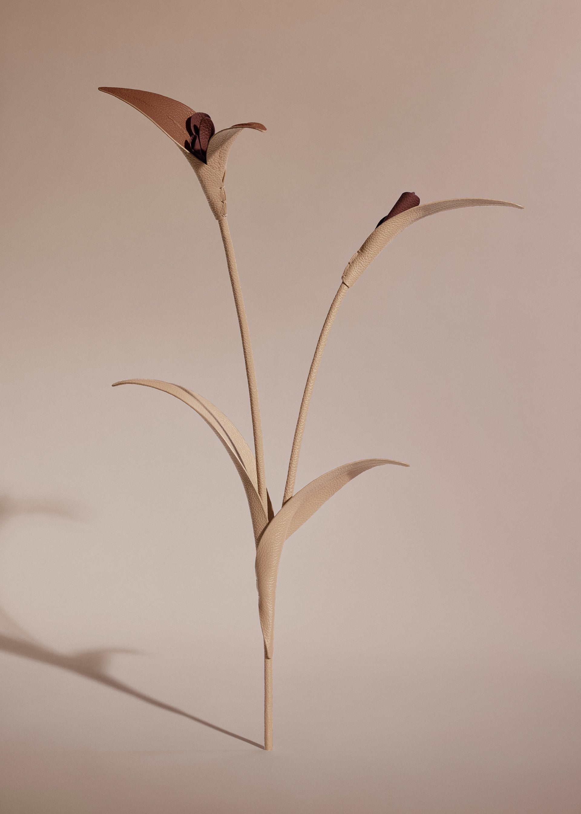 Fiore Touka - Trio Beige