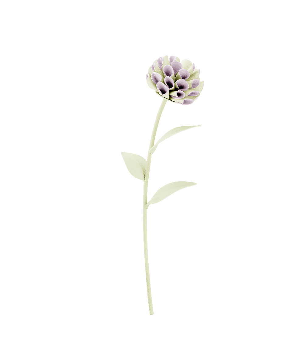Fiore Dalium - Aloe