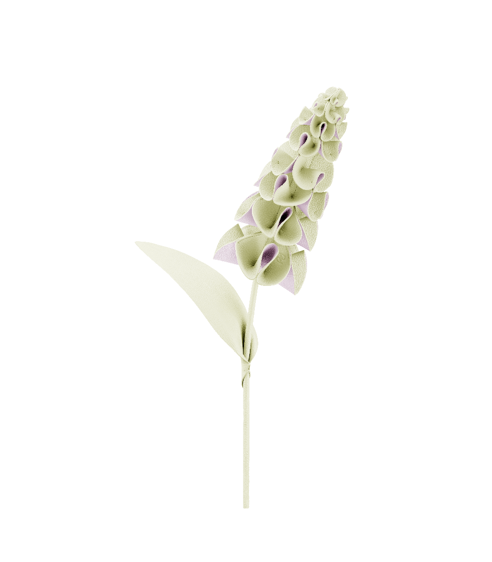 Fiore Orki - Aloe