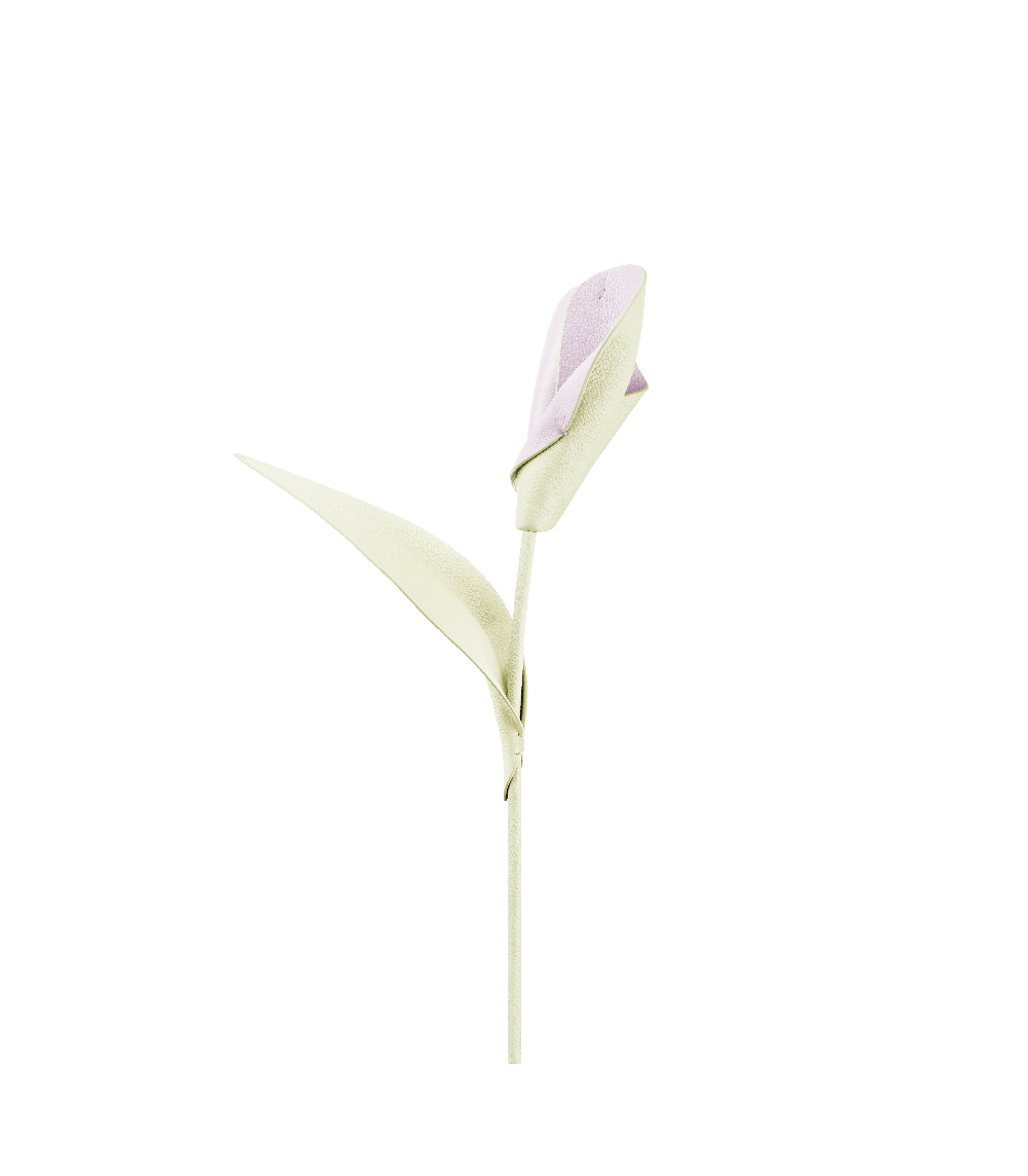 Fiore Pili - Aloe