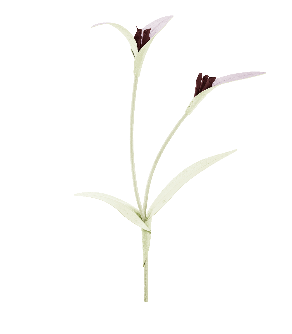 Fiore Touka - Aloe