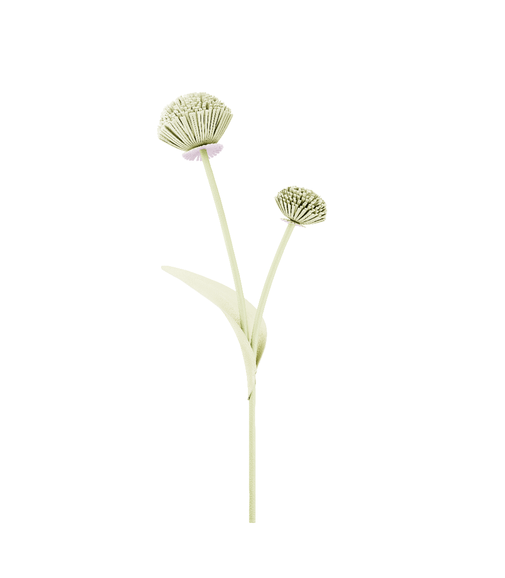 Fiore Tul - Aloe